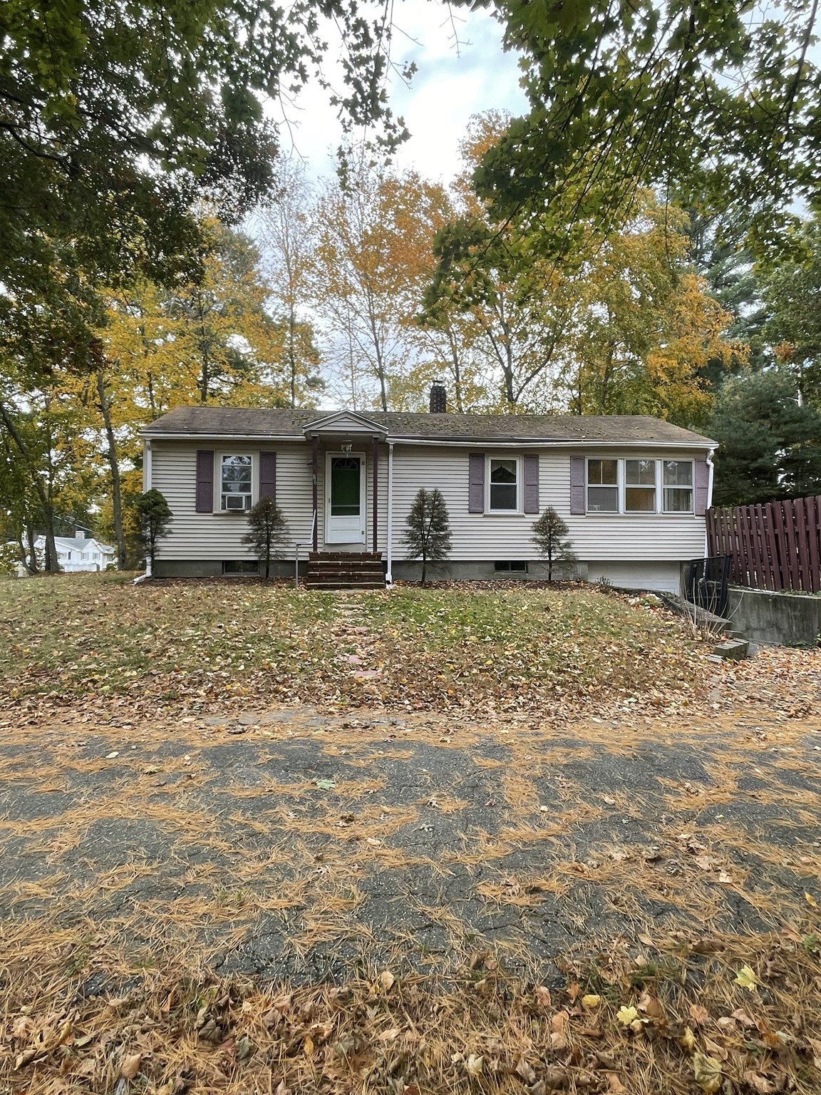86 Scadding — photo