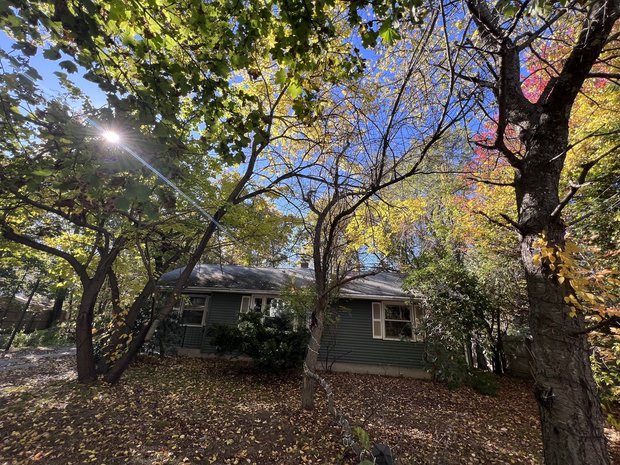 685 Grove Street — photo