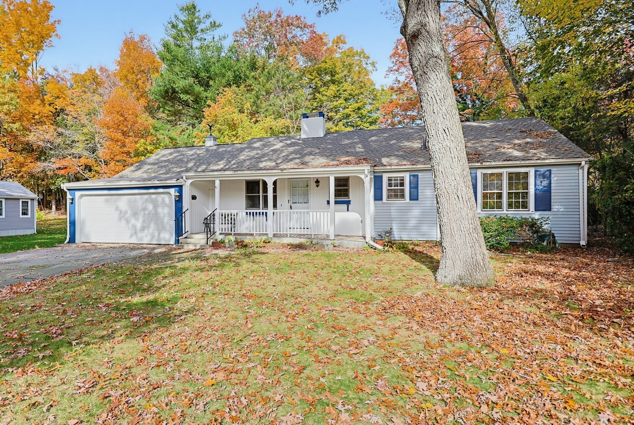 50 Hazelwood Ave — photo