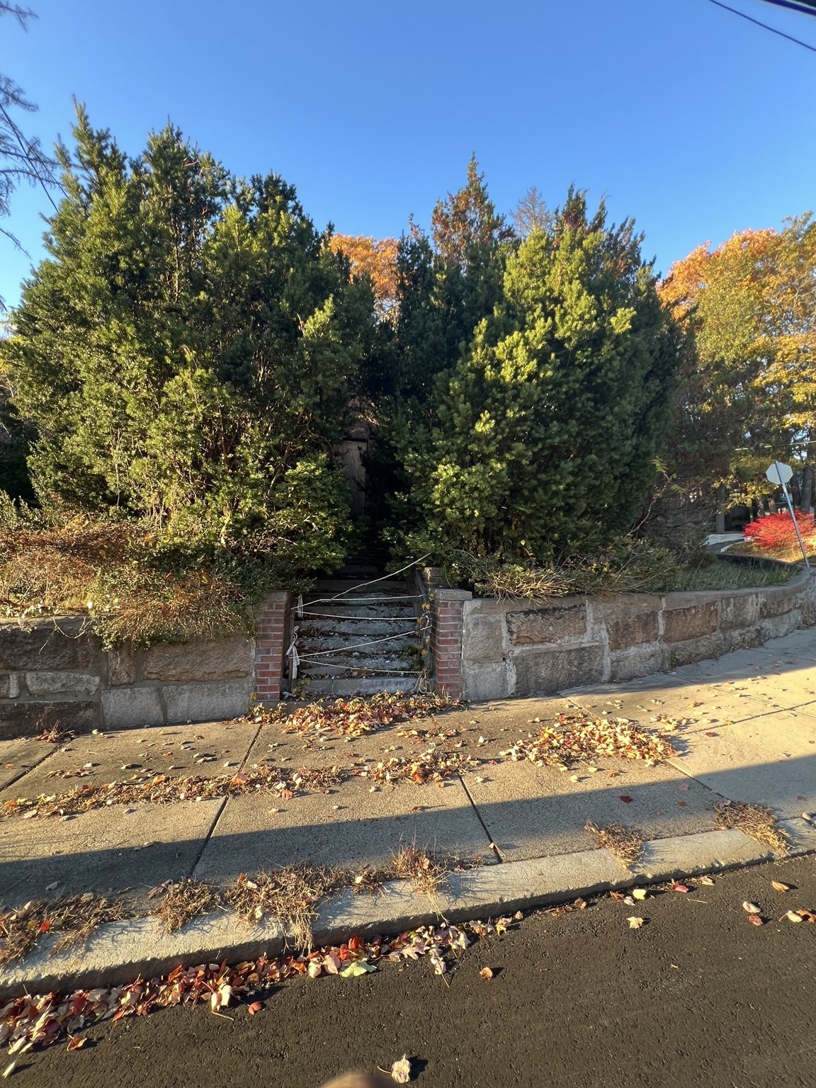 59 Farrar Ave — photo
