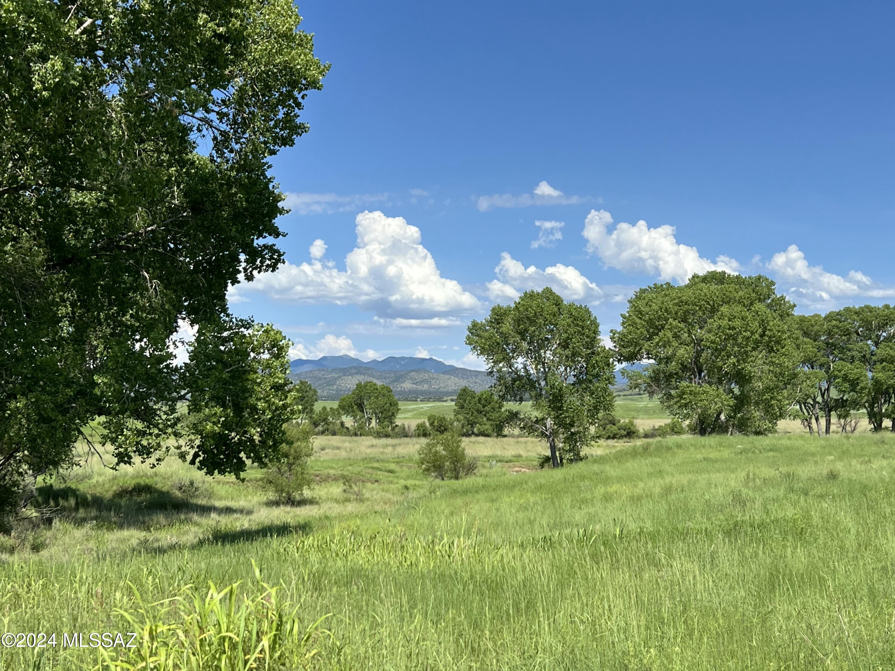 Tbd San Rafael Valley Road — photo