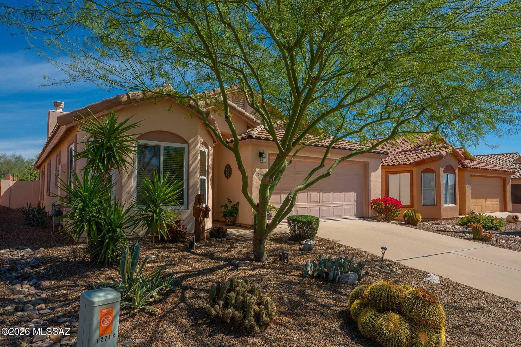 12718 N Blue Sage Drive — photo