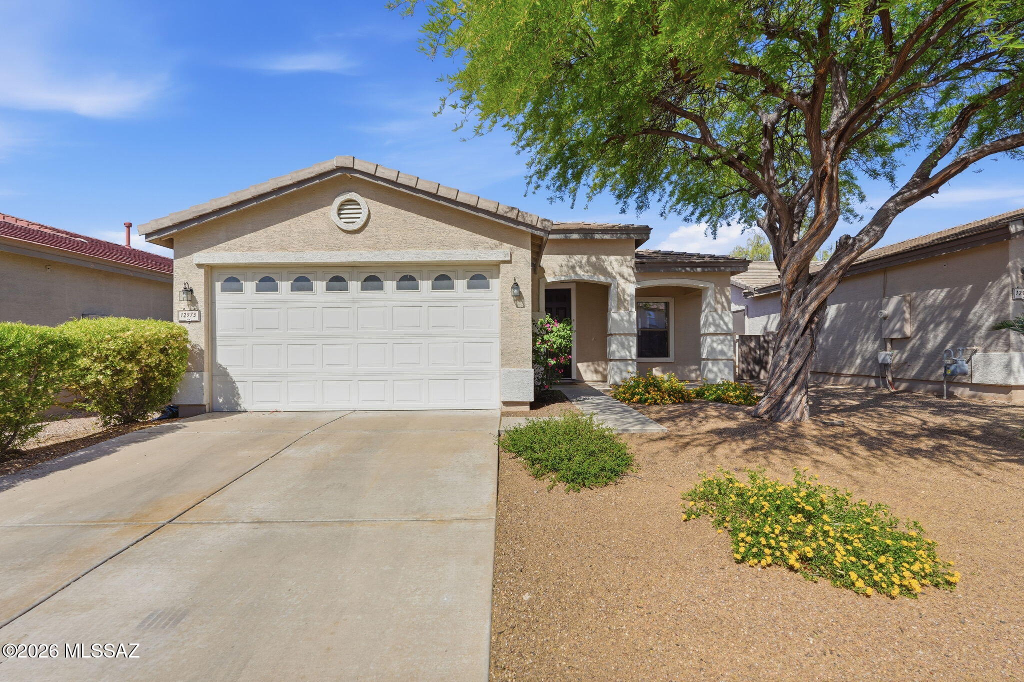 12973 N Yellow Orchid Drive — photo