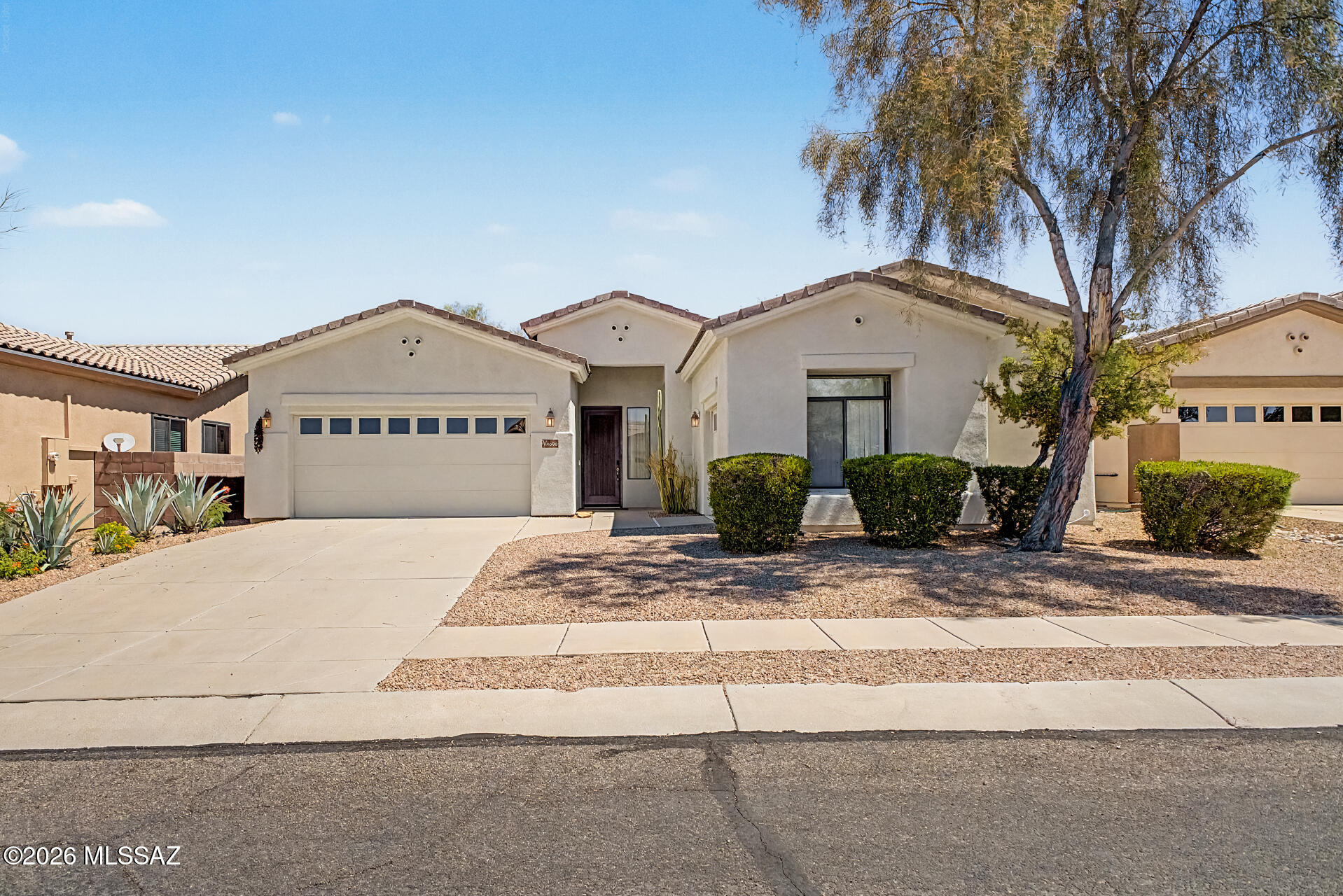 4698 W Cholla Bluff Drive — photo