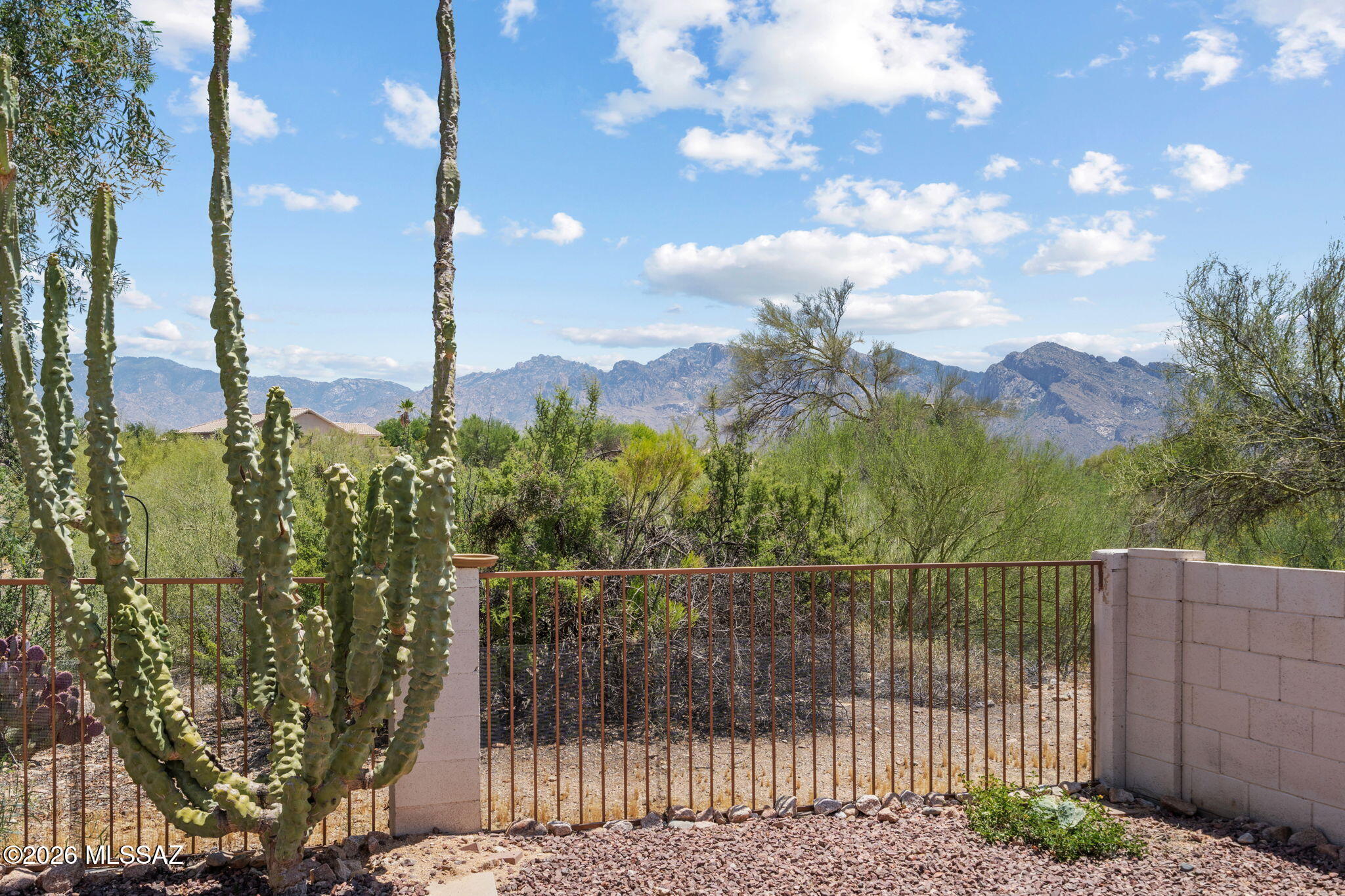 10990 N Double Eagle Court — photo