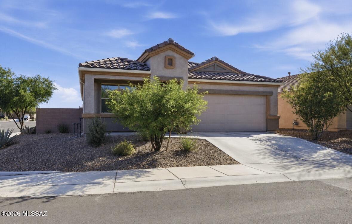 9271 W Creosote Rain Drive — photo