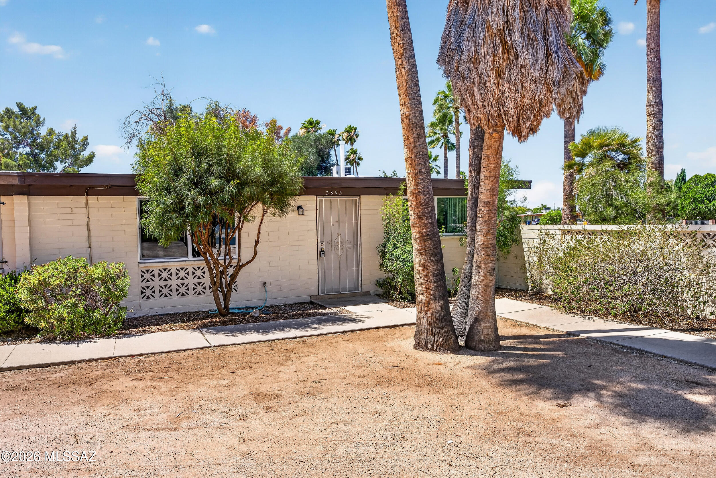 3895 S Queen Palm Drive — photo