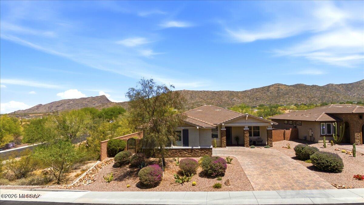 7250 Cactus Flower Ps — photo