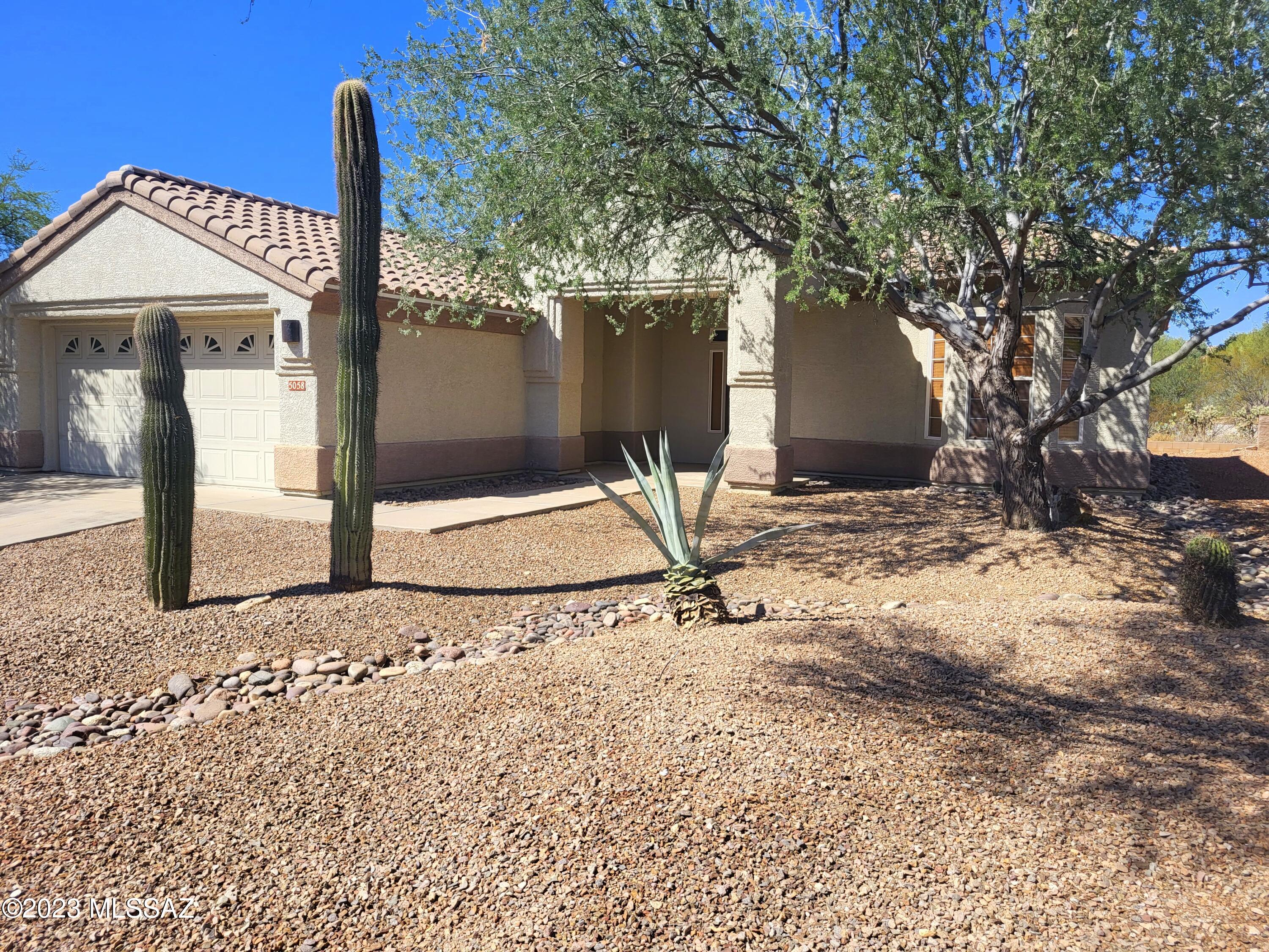 5058 W Desert Chicory Place — photo
