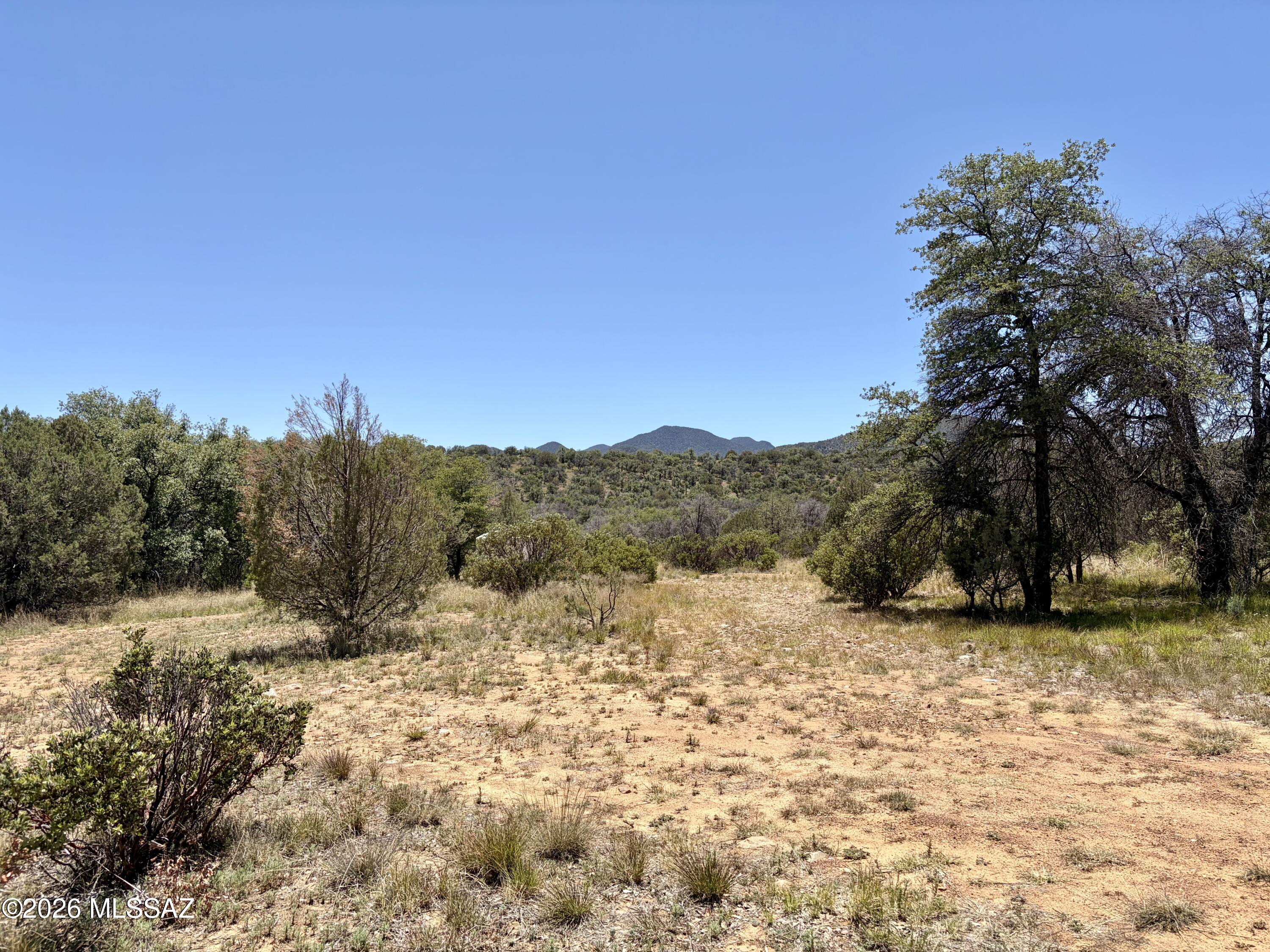64 Forest Service 5539 Road — photo