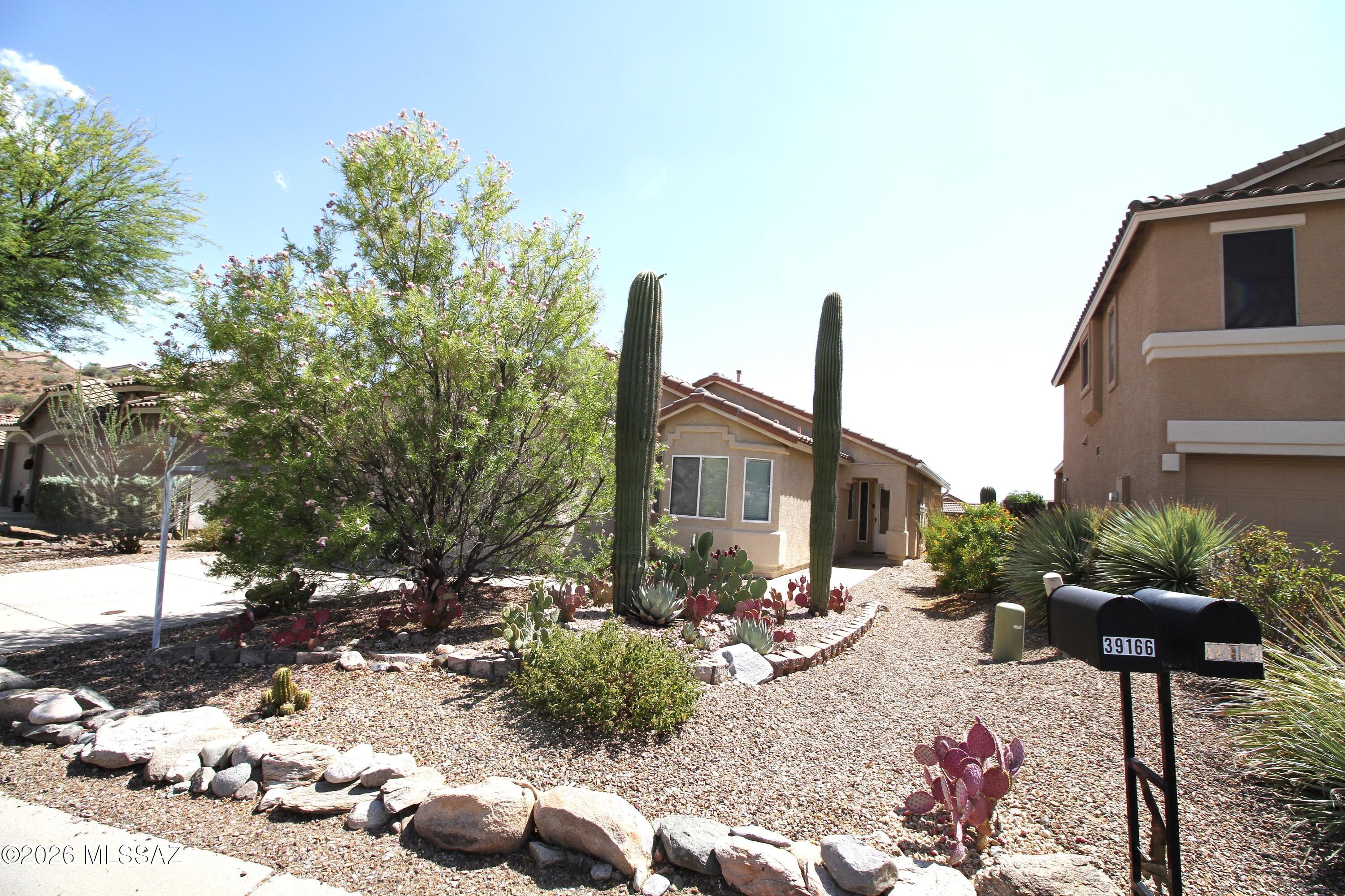 39166 Rodeo Buckle Drive, Tucson, AZ 85739