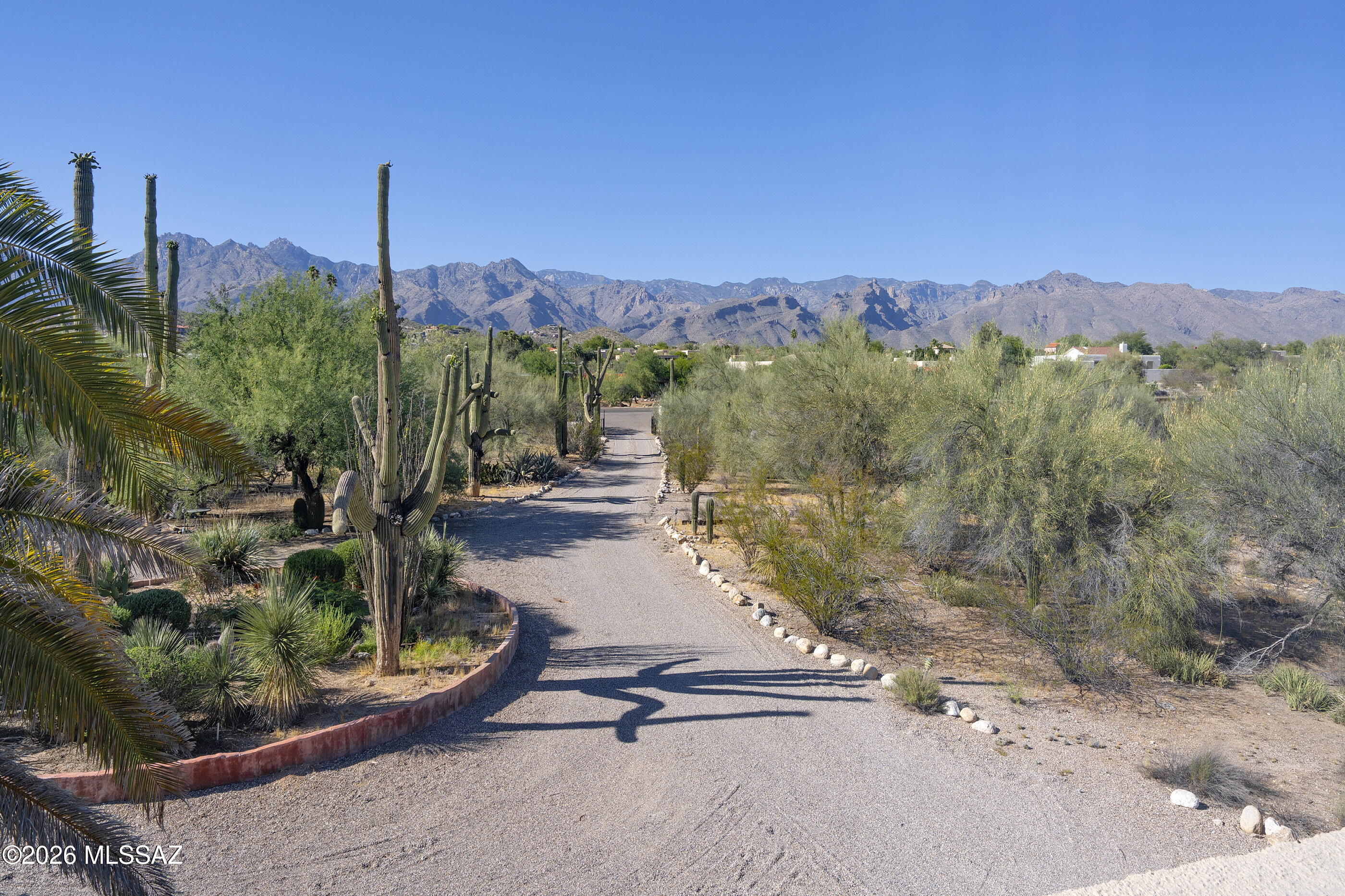 7944 E Cloud Road, Tucson, AZ 85750 — photo 3