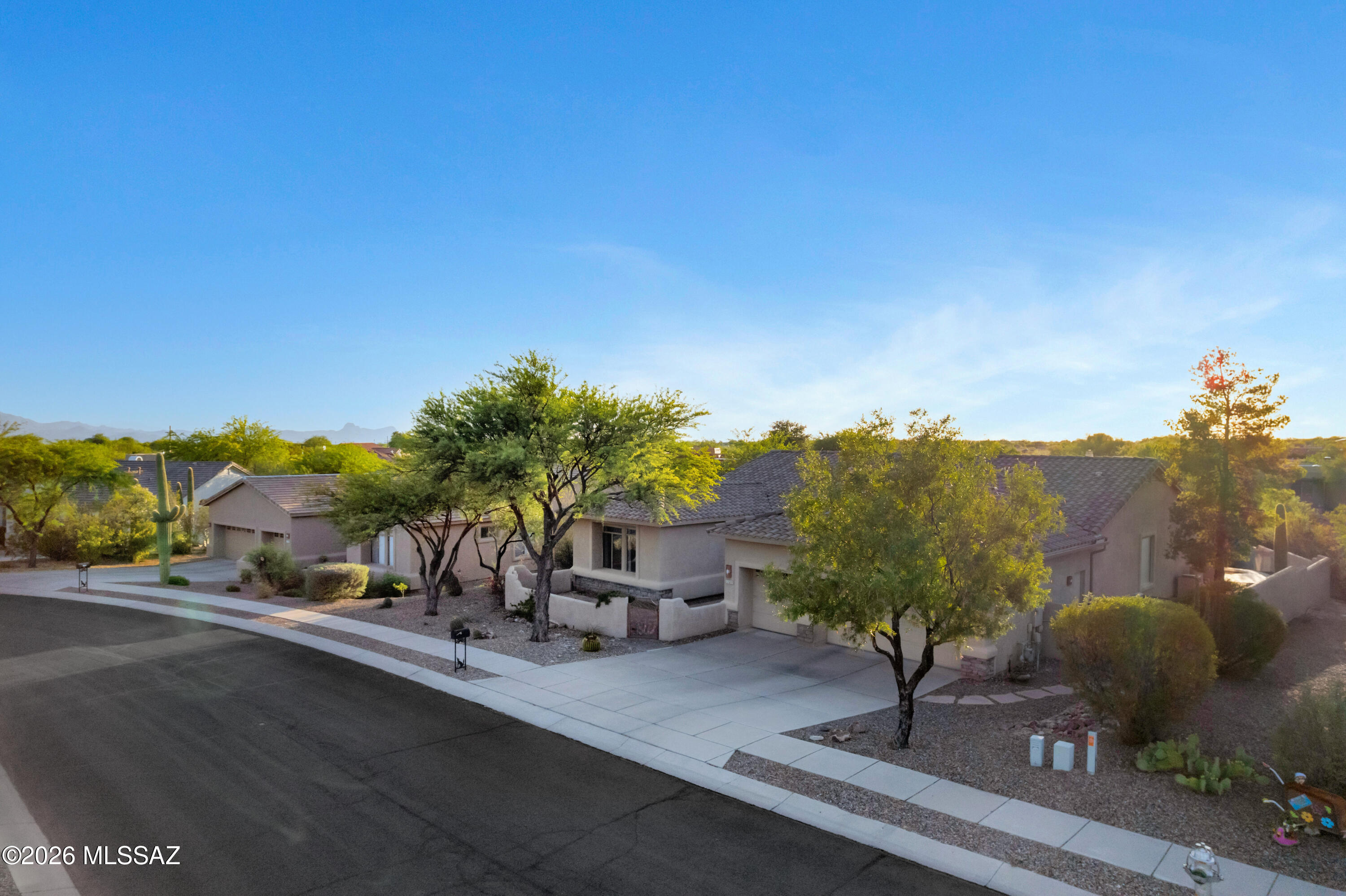 11653 N Desert Holly Drive — photo