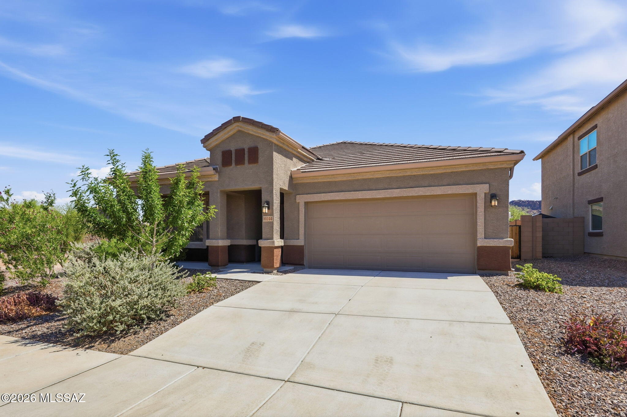 10244 N Black Dalea Drive — photo