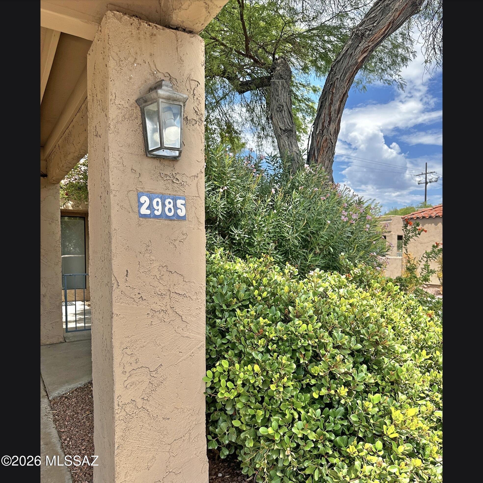 2985 E Winterhaven Drive — photo