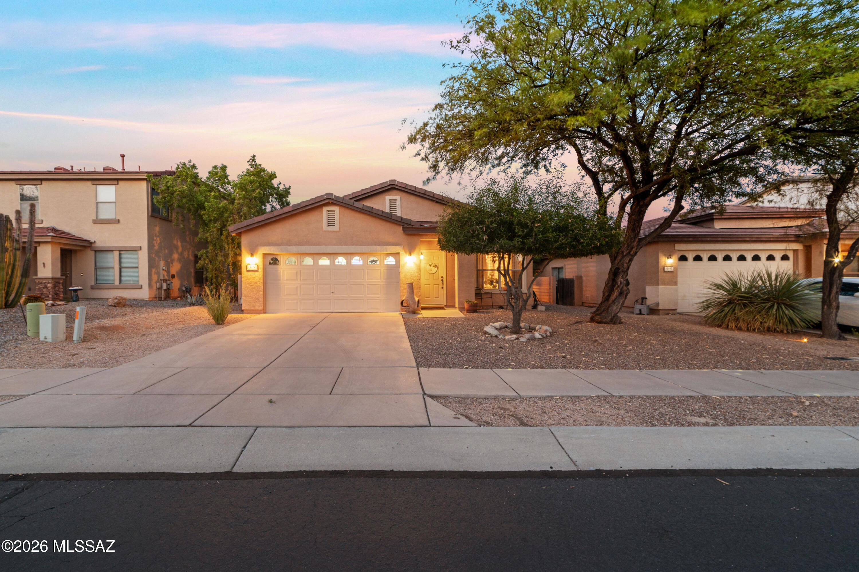 12970 N Yellow Orchid Drive — photo