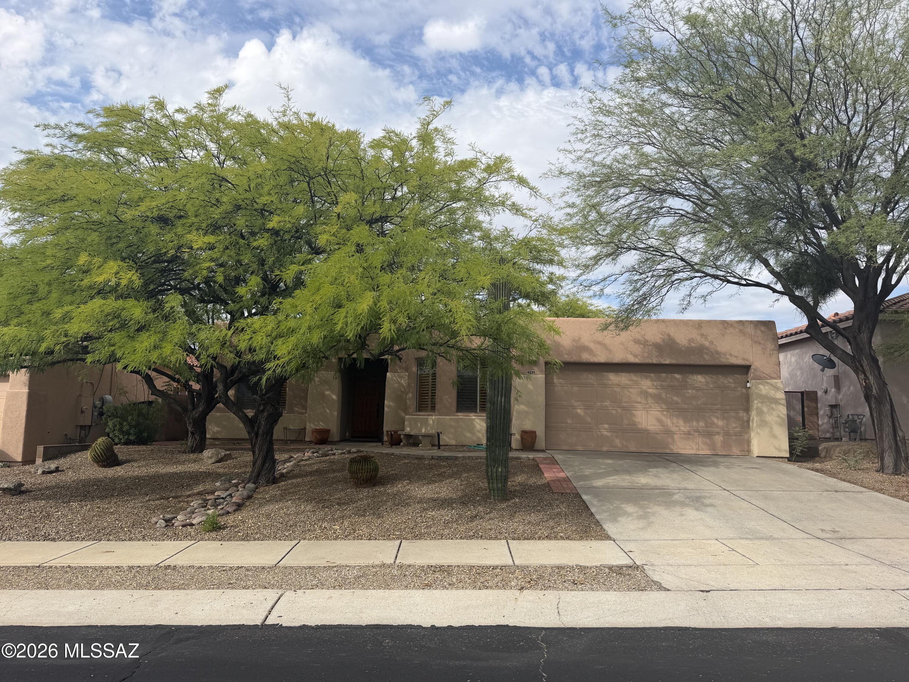 4229 W Winter Wash Drive — photo
