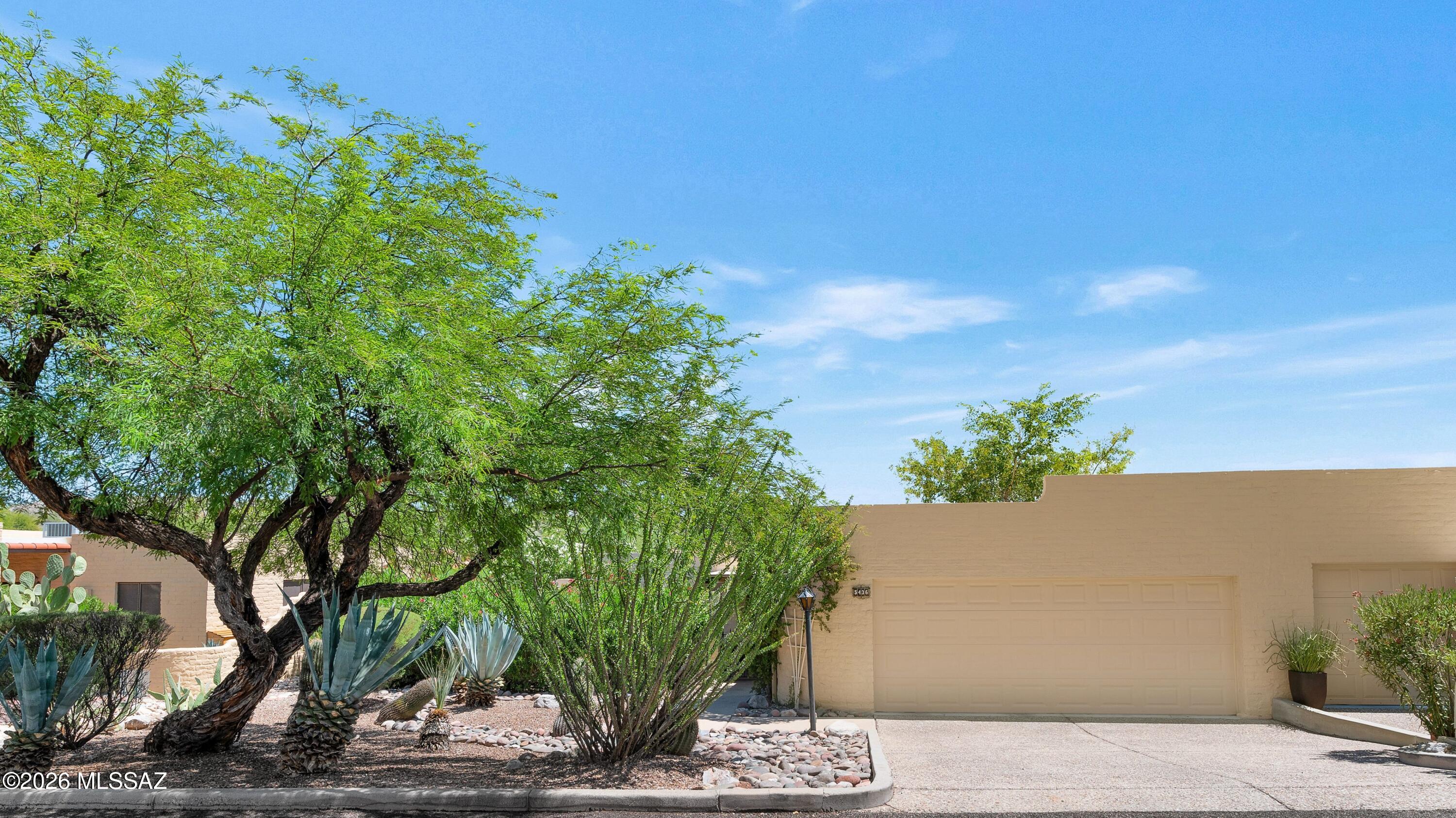 5436 N Paseo Sonoyta — photo