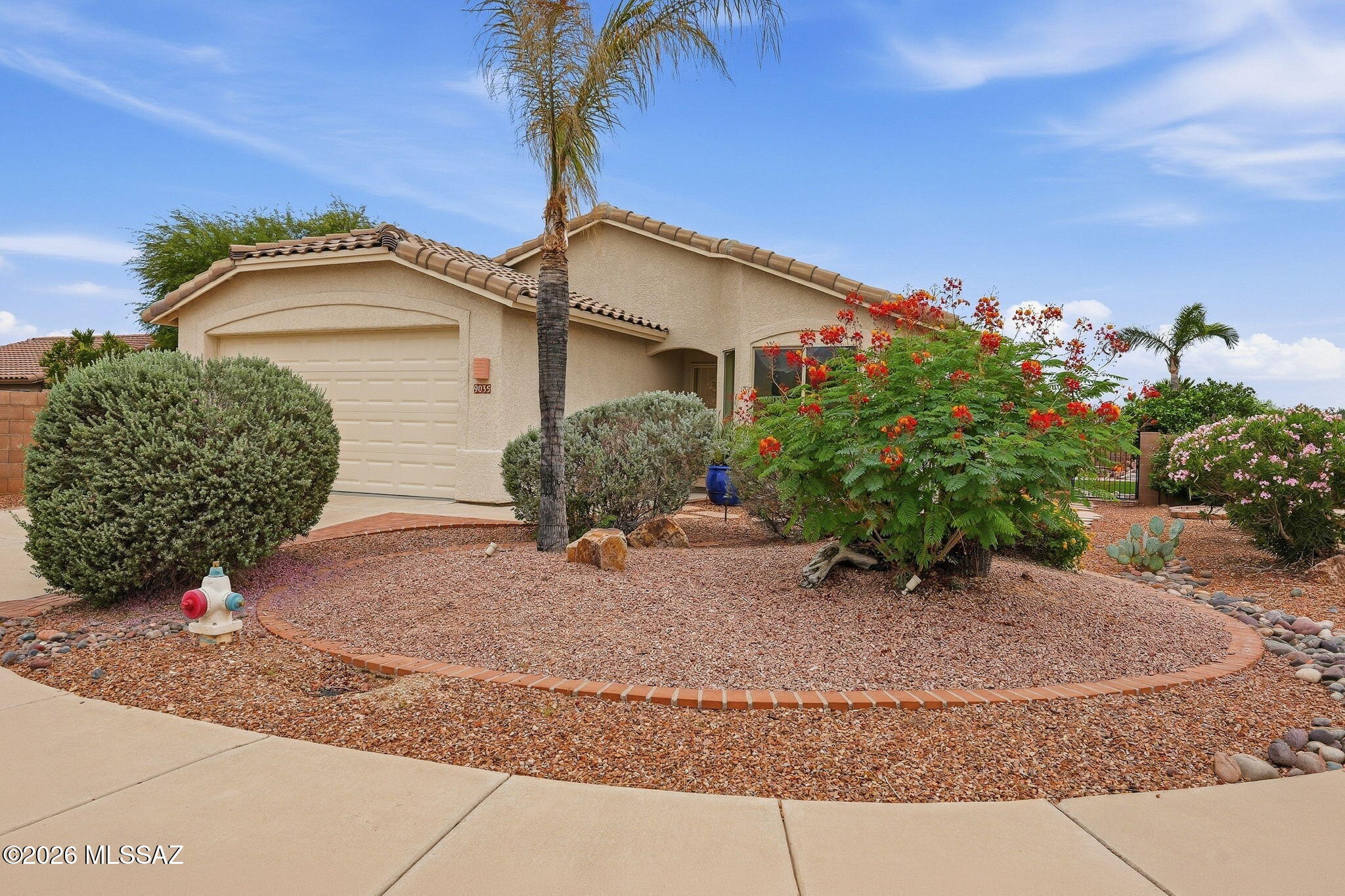 9035 N Mexican Sage Place — photo