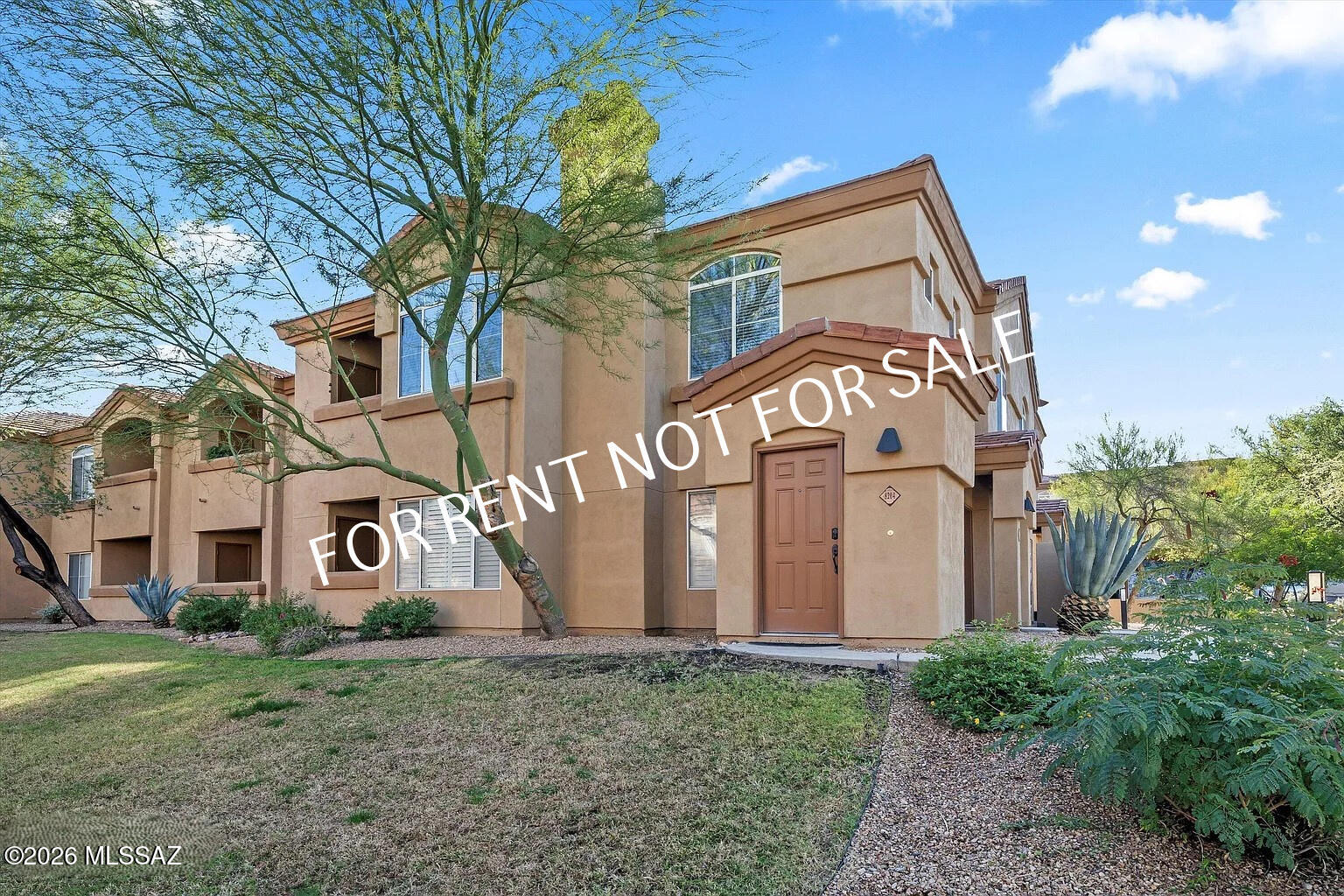 7050 E Sunrise Drive 8204 — photo
