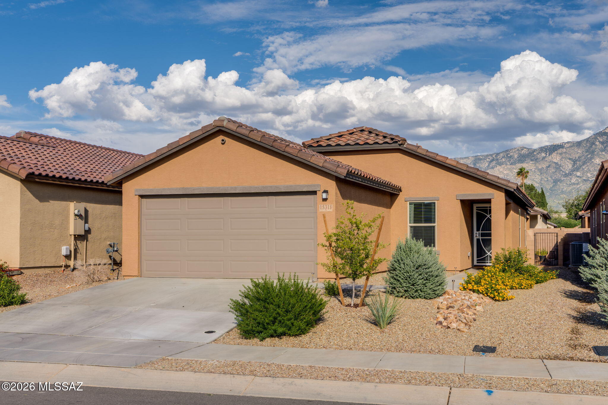 15318 N Desert Lilac Lane — photo