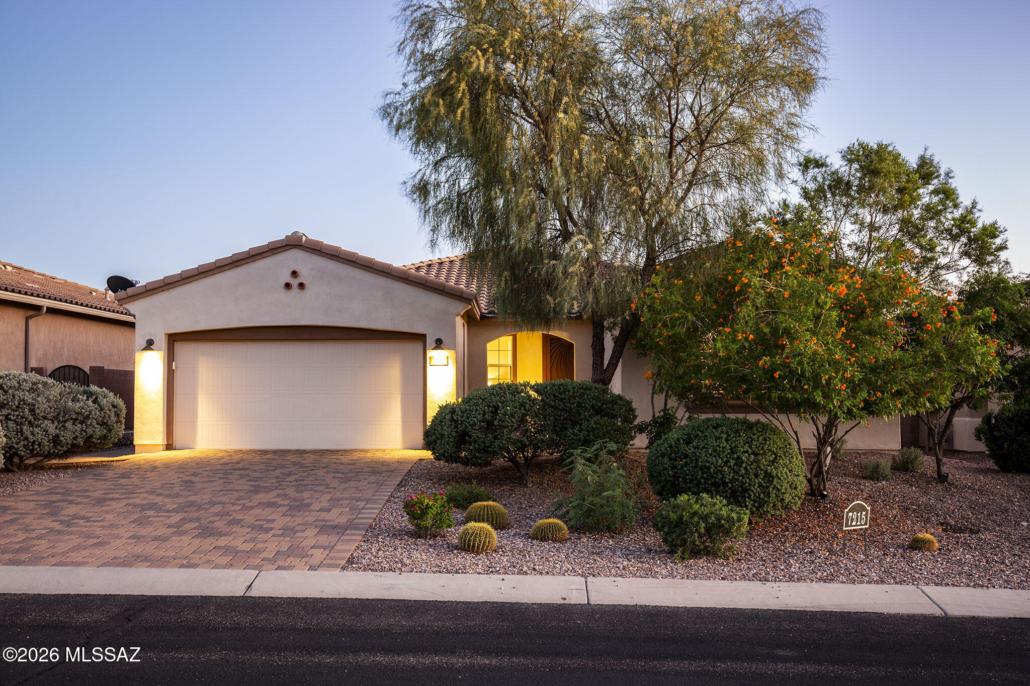 7215 W Cactus Flower Ps Court — photo