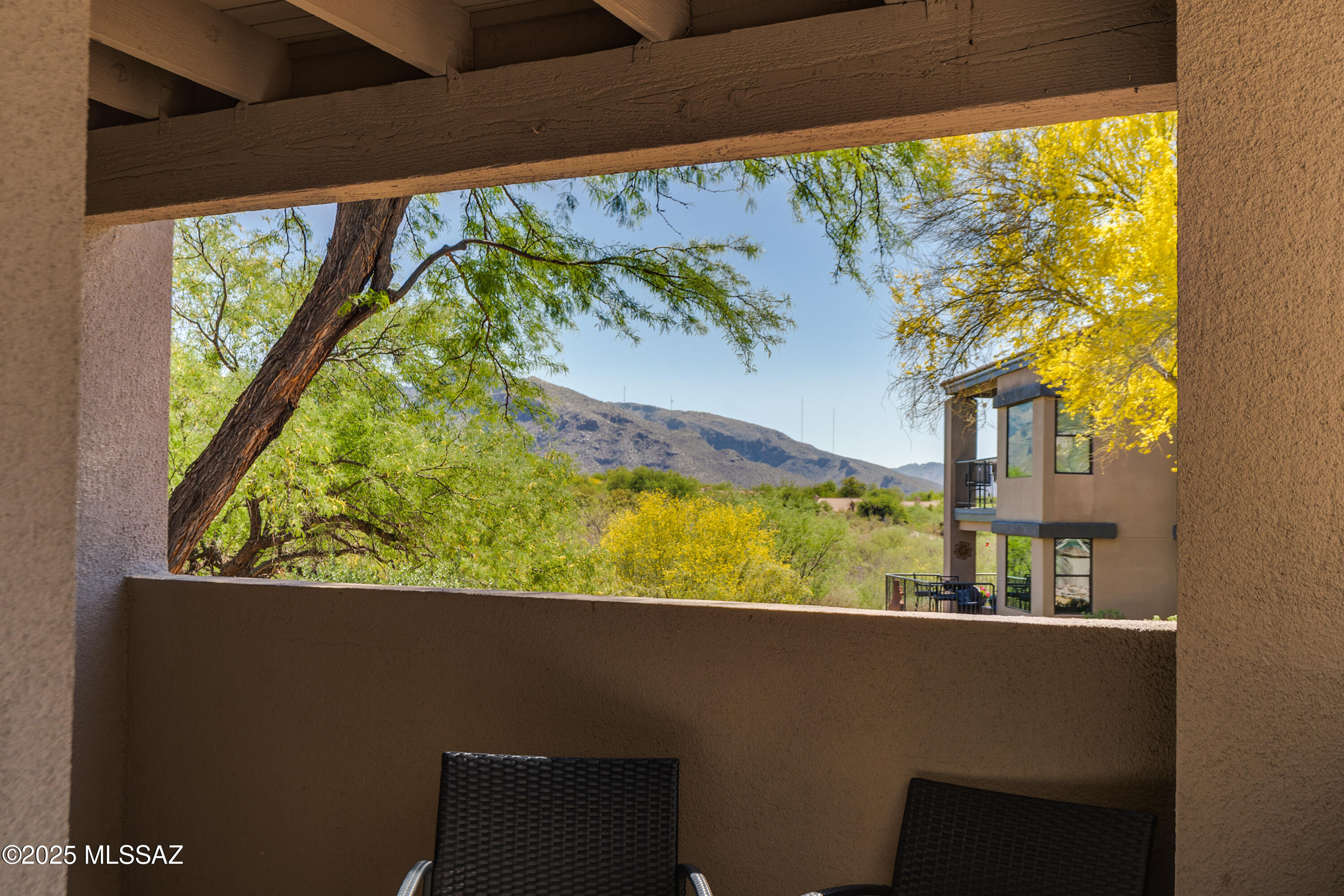 5800 N Kolb Road Unit 11160 — photo