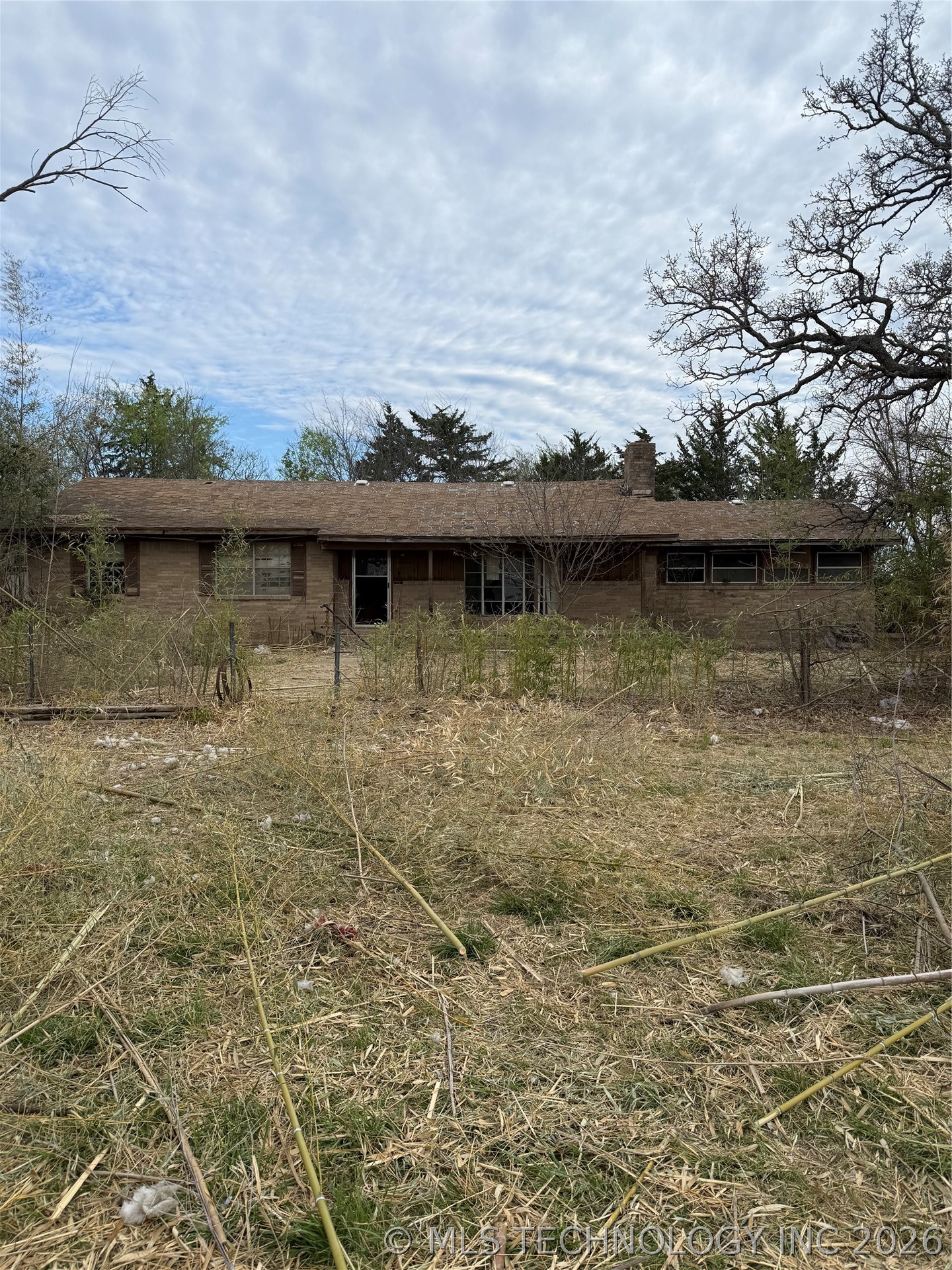 115 Melody — photo