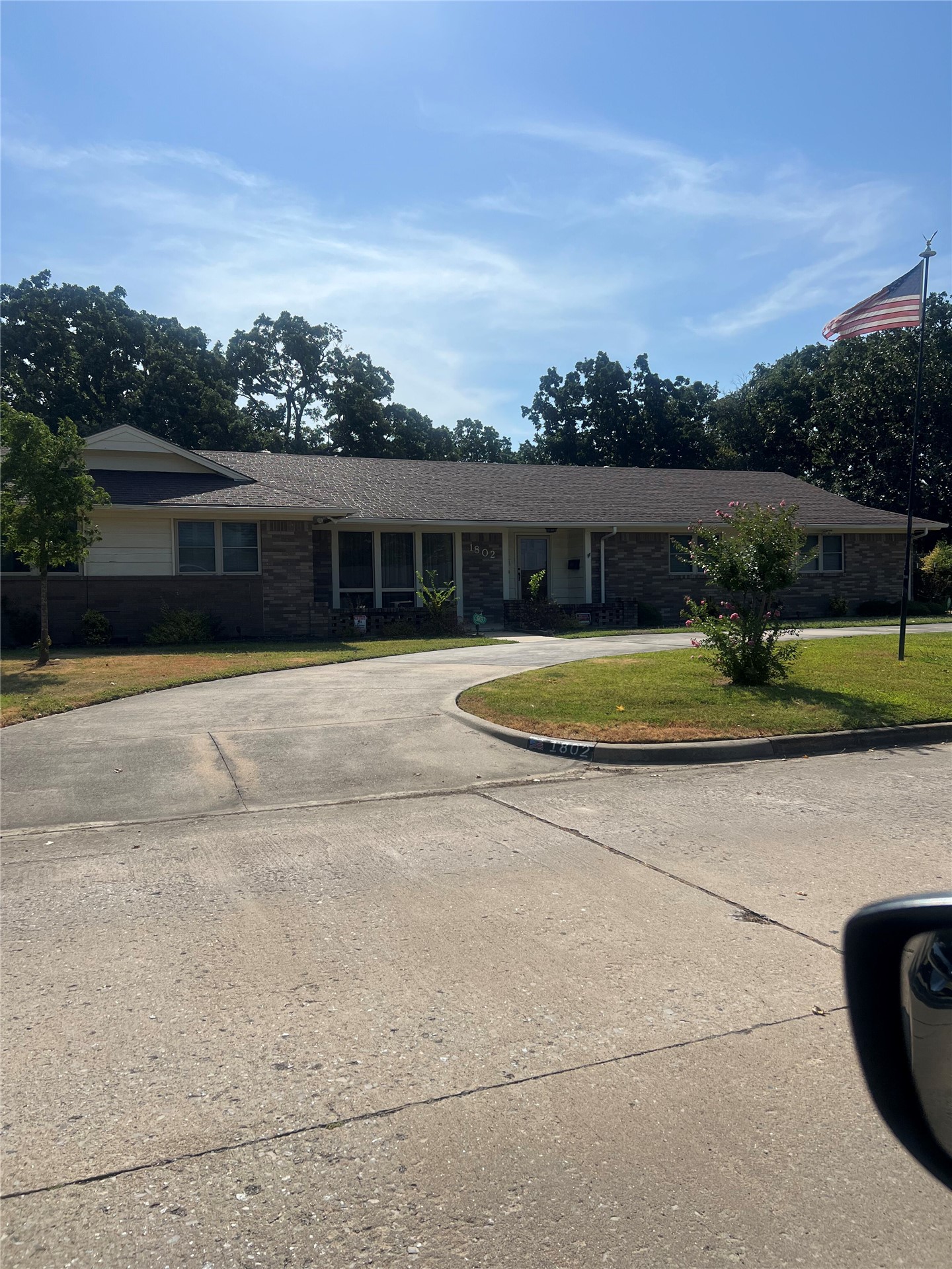 1802 Mockingbird — photo