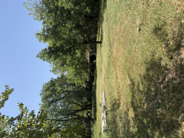Home in Owasso, OK 74055 — photo 3