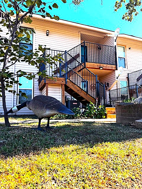 204 Falconhead F — photo