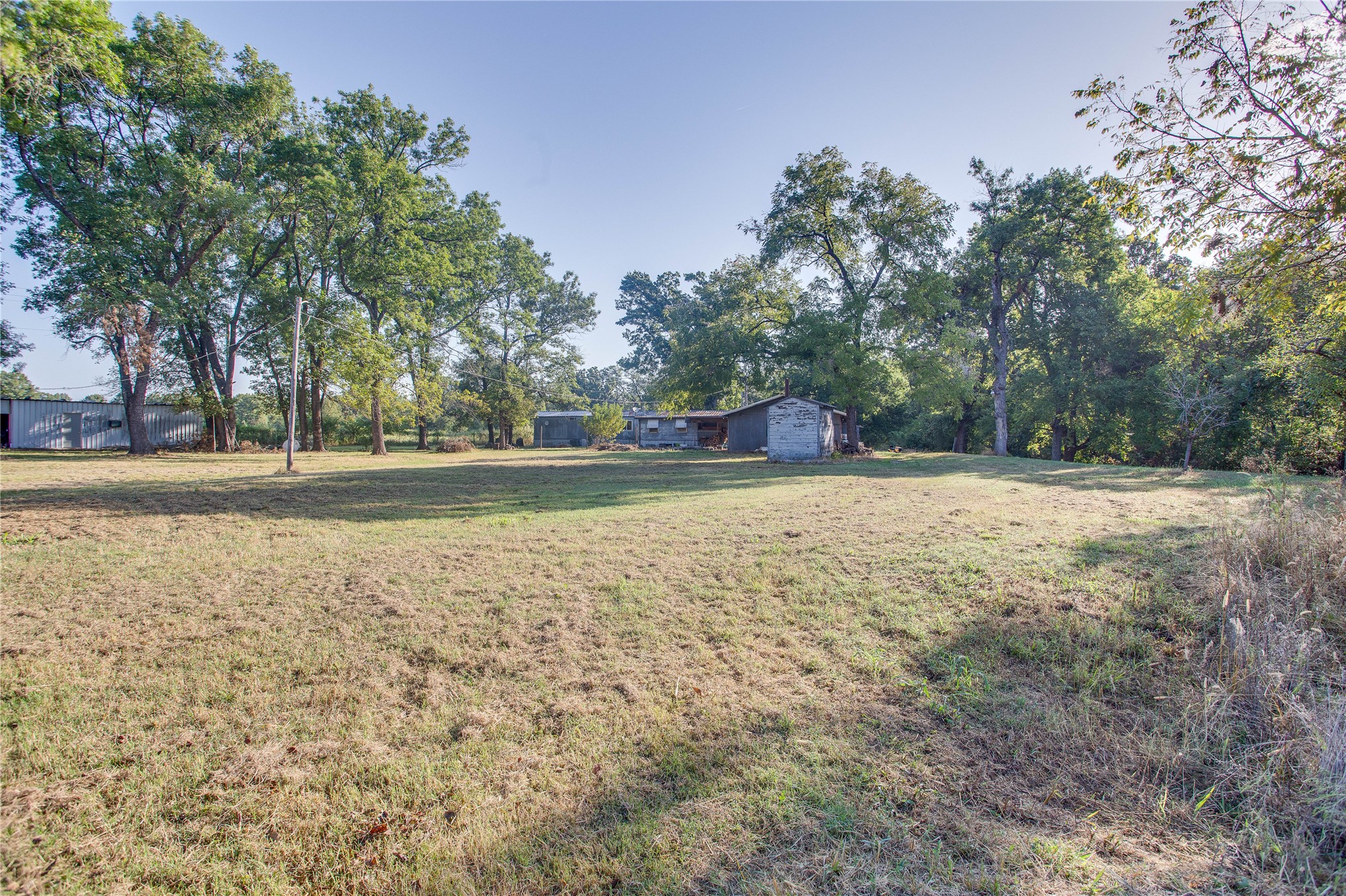 12393 N 3976 — photo