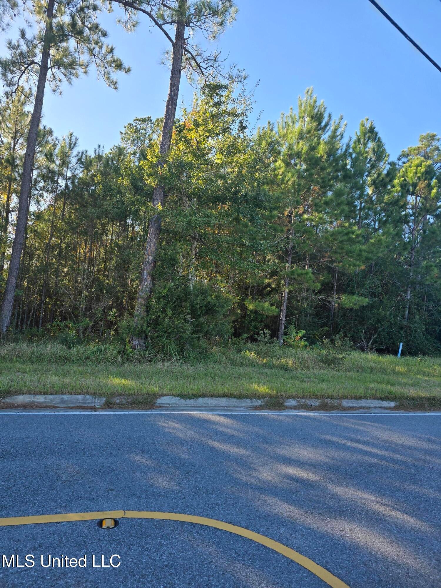 Lake Boulevard — photo