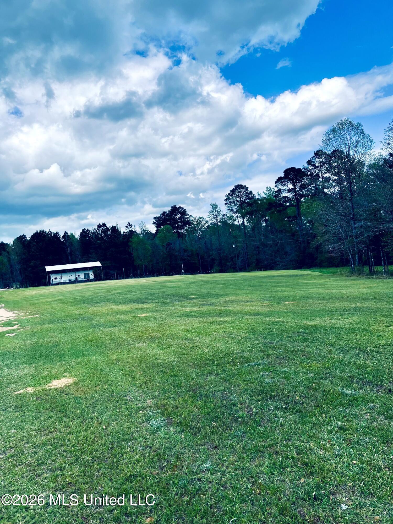 276 Martin Lane, Raleigh, MS 39153 — photo 3