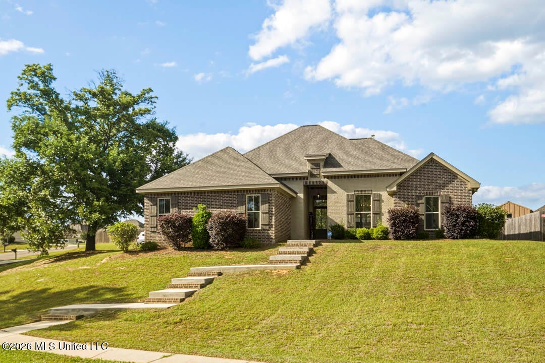 25 Island Oak — photo
