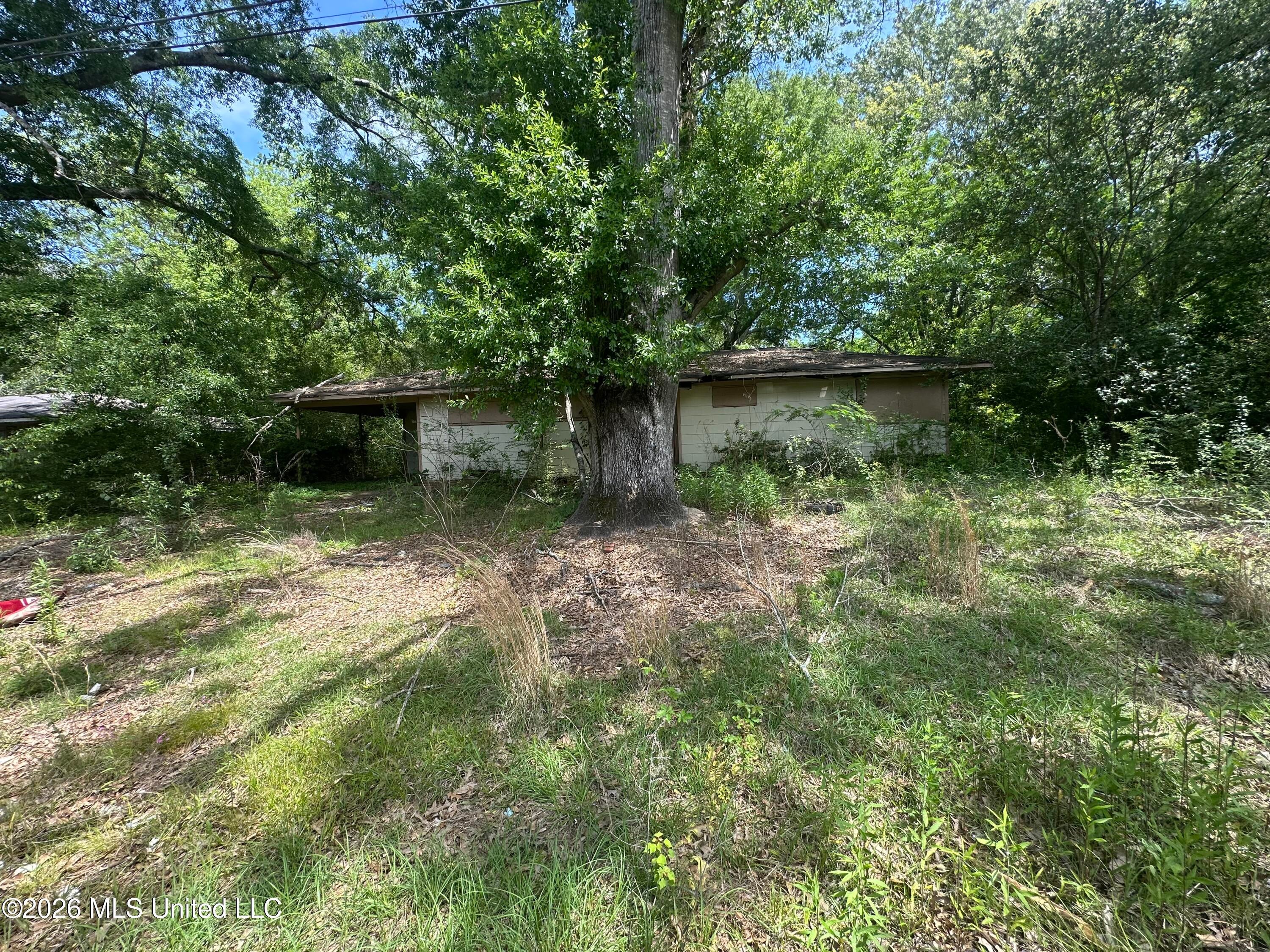 3236 Corey Drive — photo