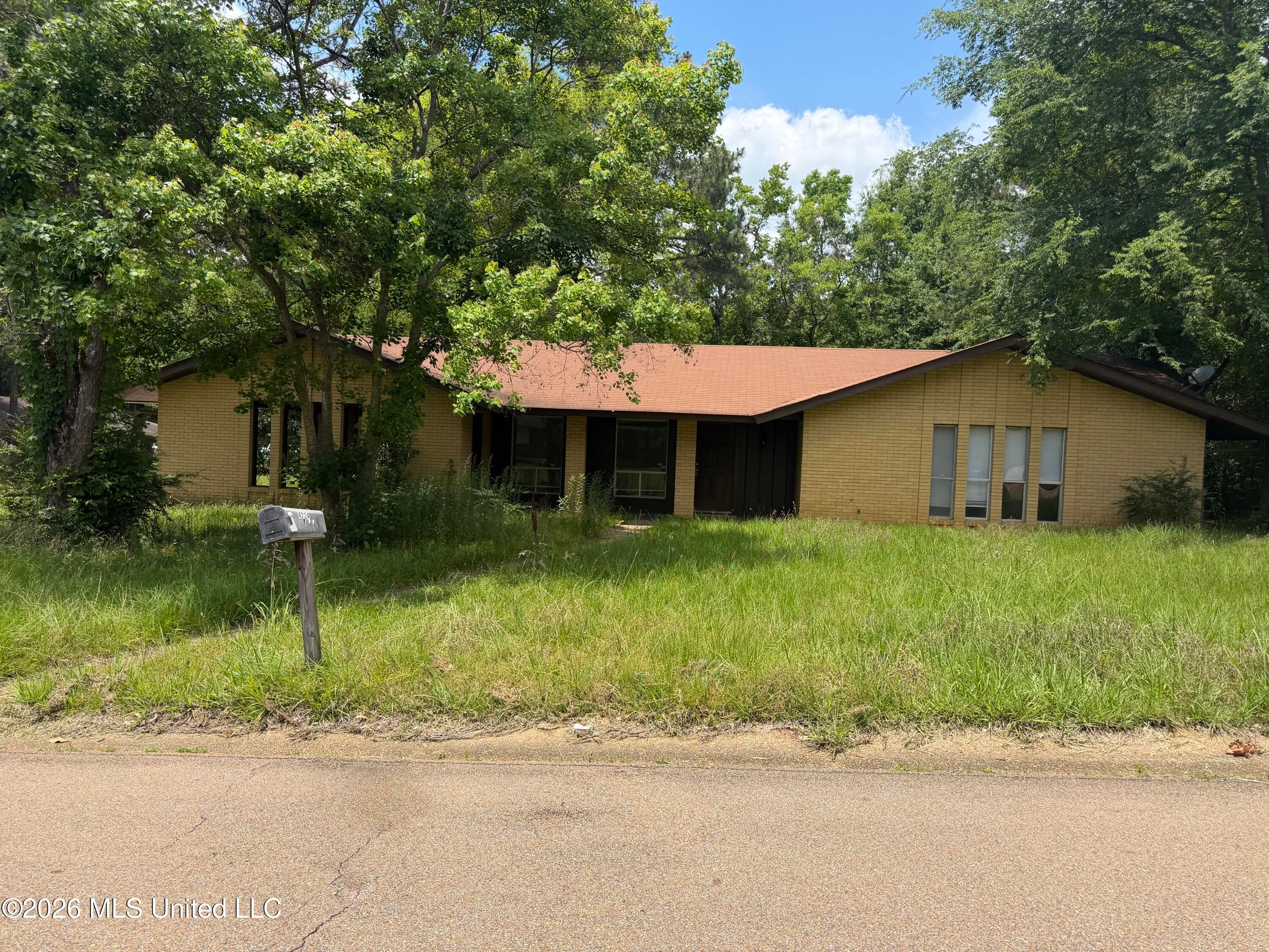 4224 Cypress Drive — photo