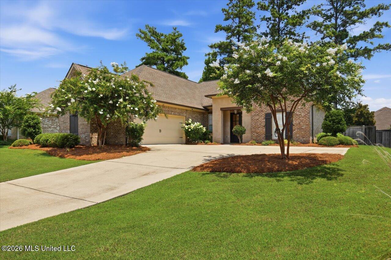 145 Hampton Ridge, Madison, MS 39110 — photo 3