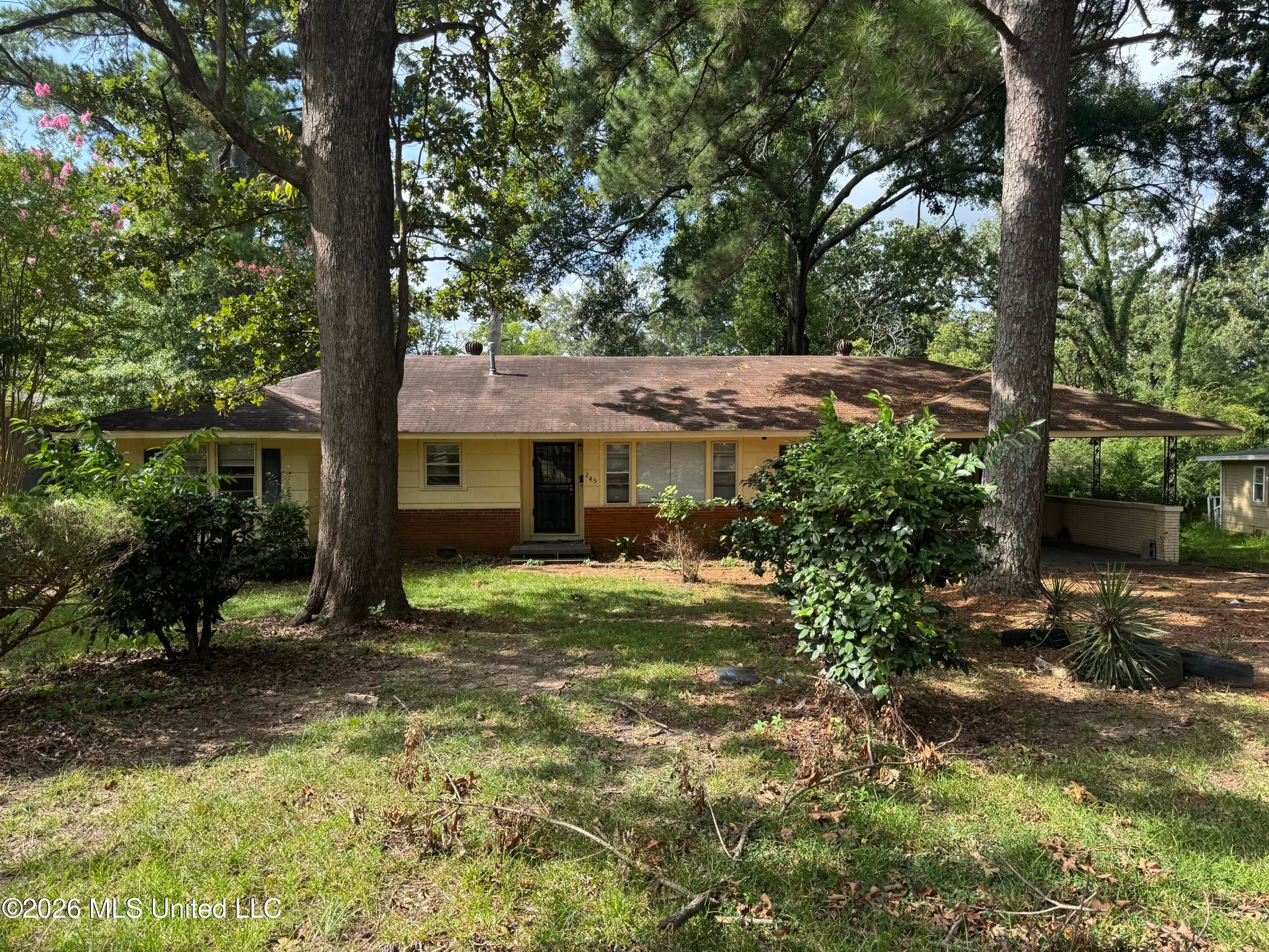 245 Shady Circle — photo