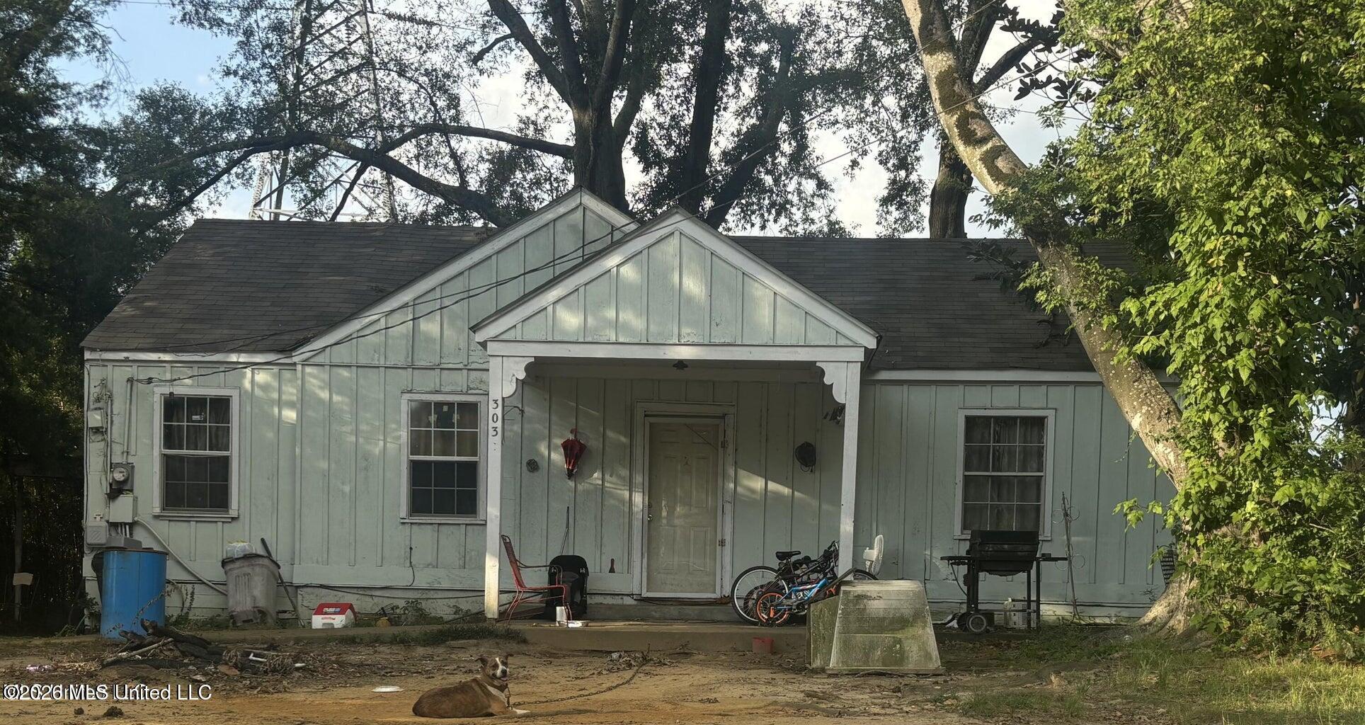 303 Sunny Lane Drive — photo