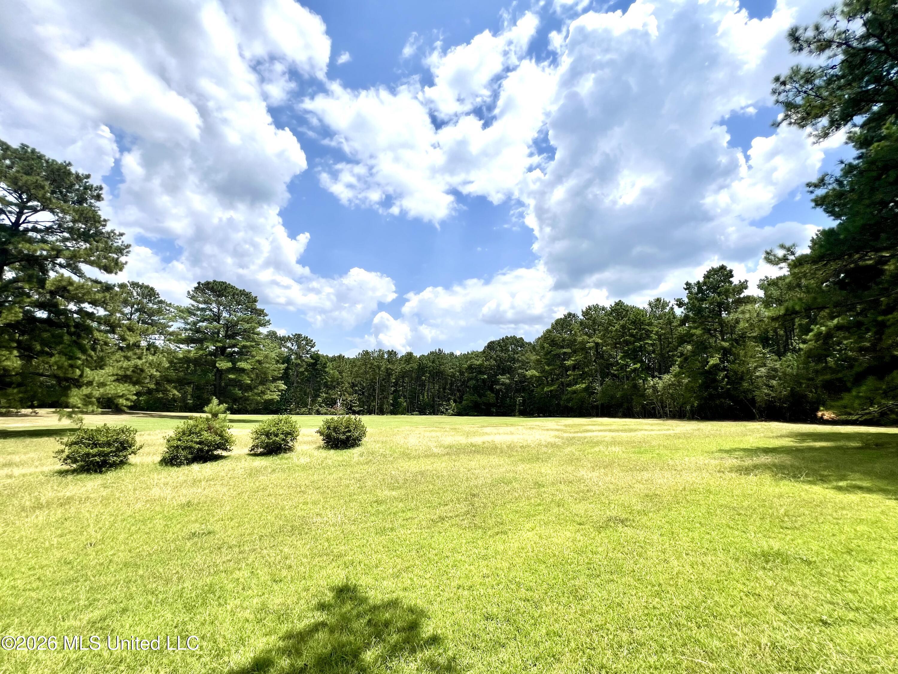 978 Butler Rd Se, Smithdale, MS 39664 — photo 2