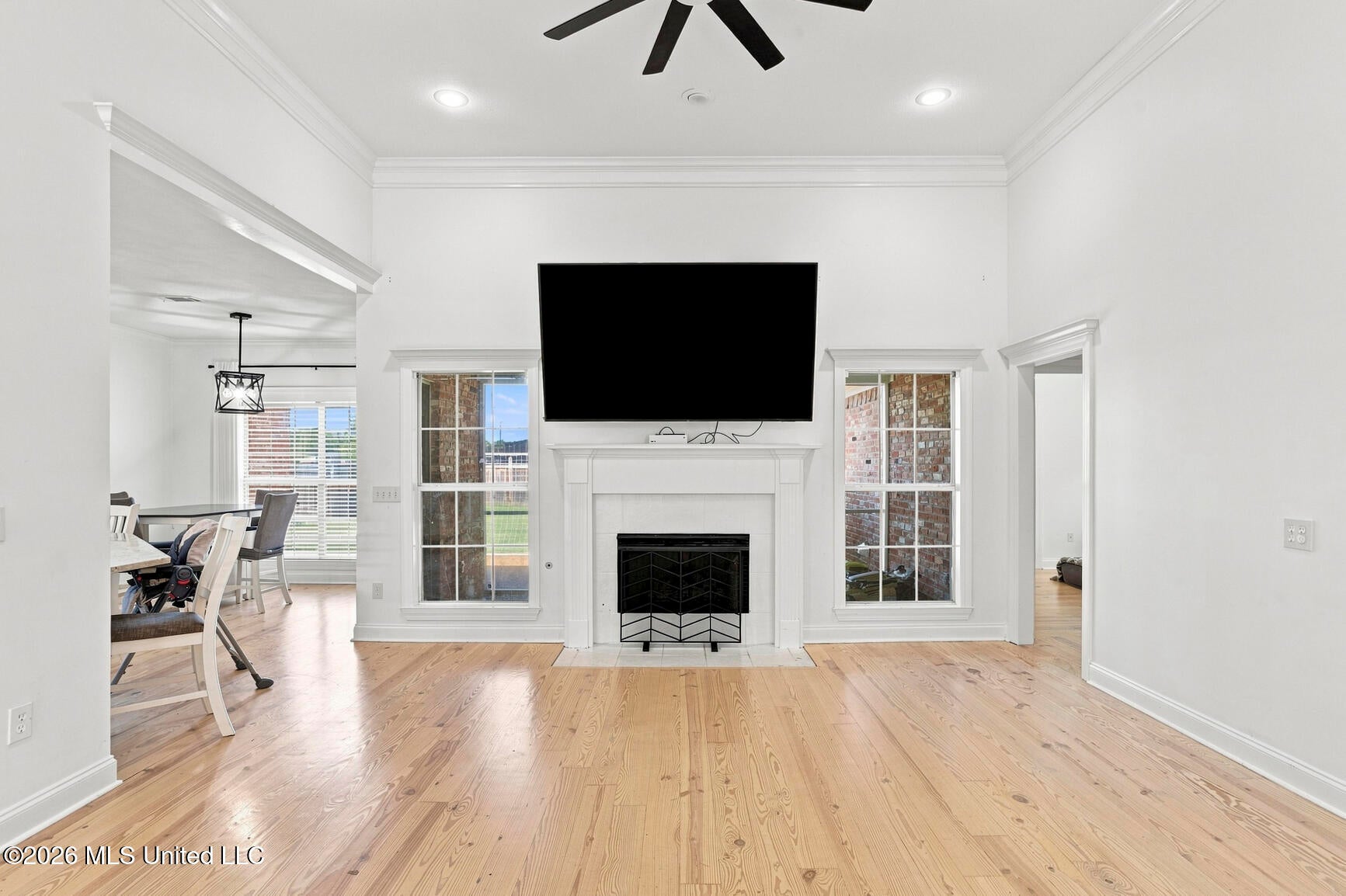 728 Danforth Drive, Madison, MS 39110 — photo 3
