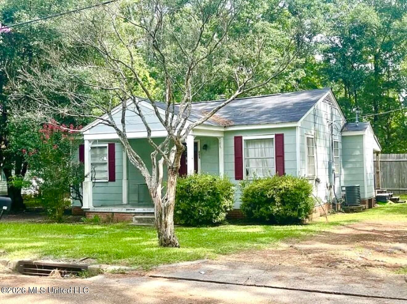 205 Albert Street — photo