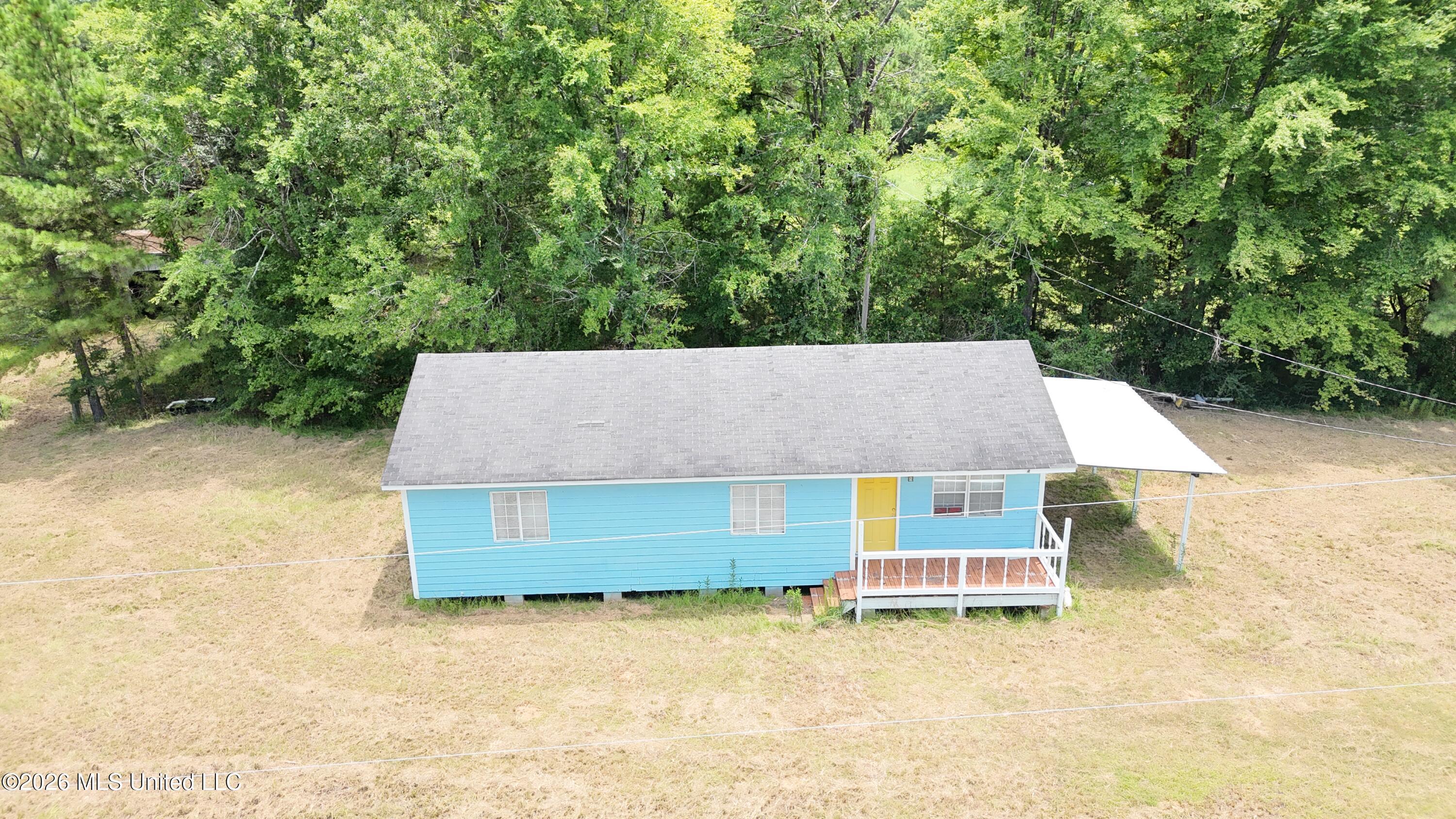 1100 Pine Tree Lane — photo