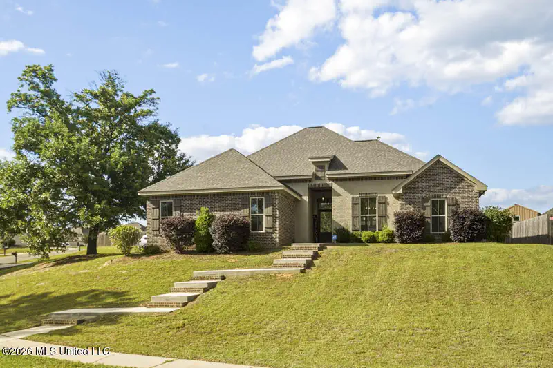 25 Island Oak — photo
