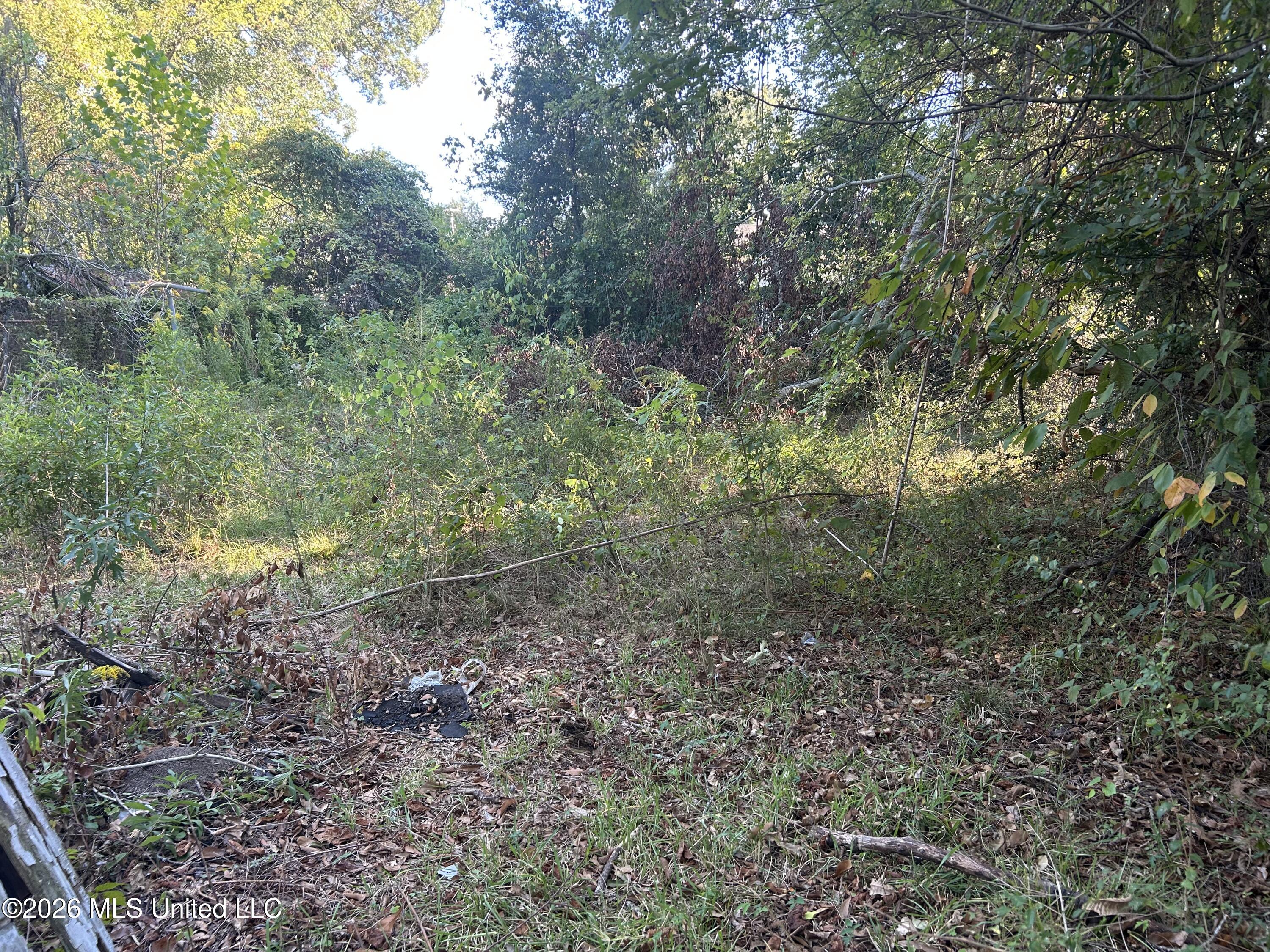 525 Maple Street, Jackson, MS 39203 — photo 2