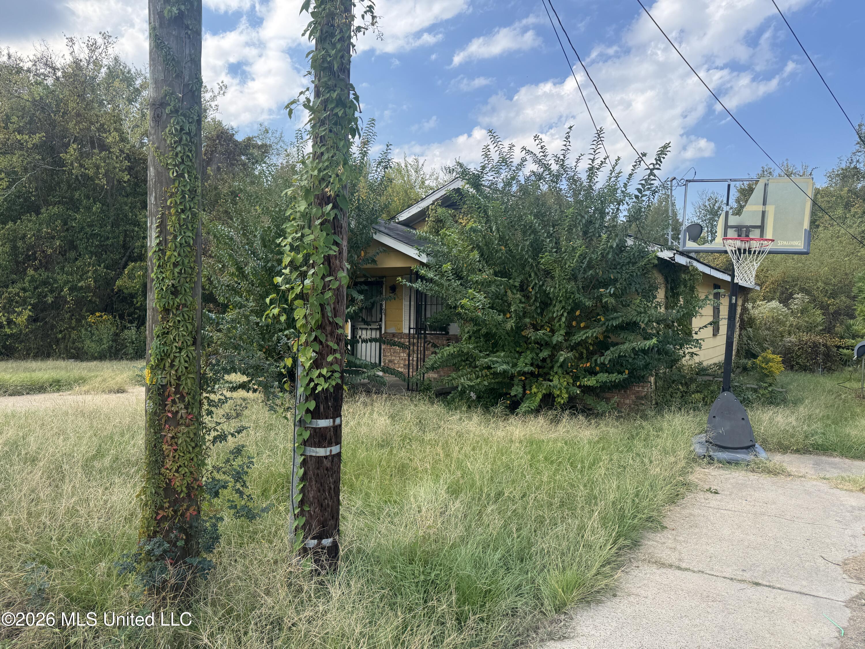 1709 Congo Street — photo