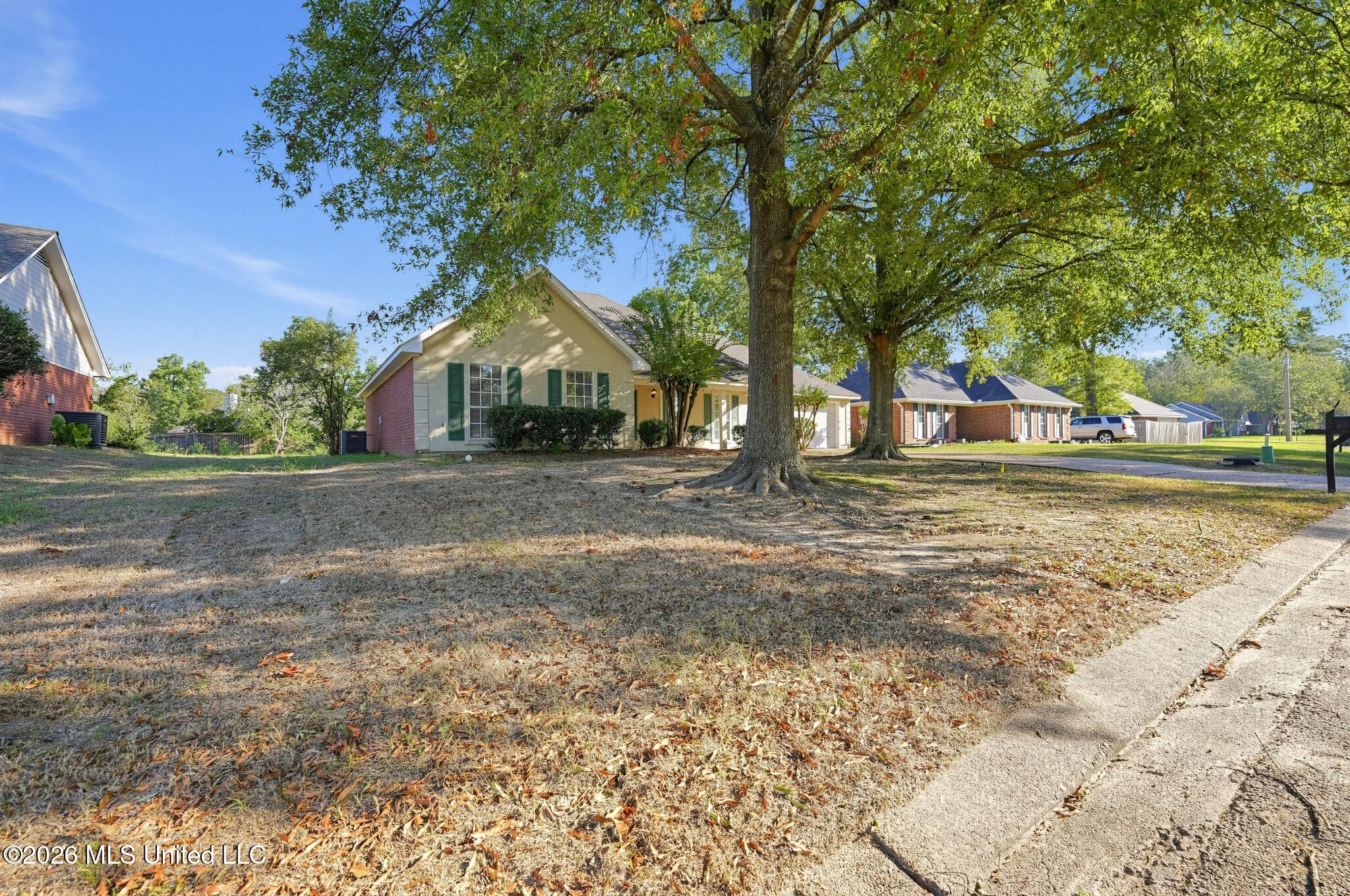 615 Olympic Drive, Flowood, MS 39232 — photo 3