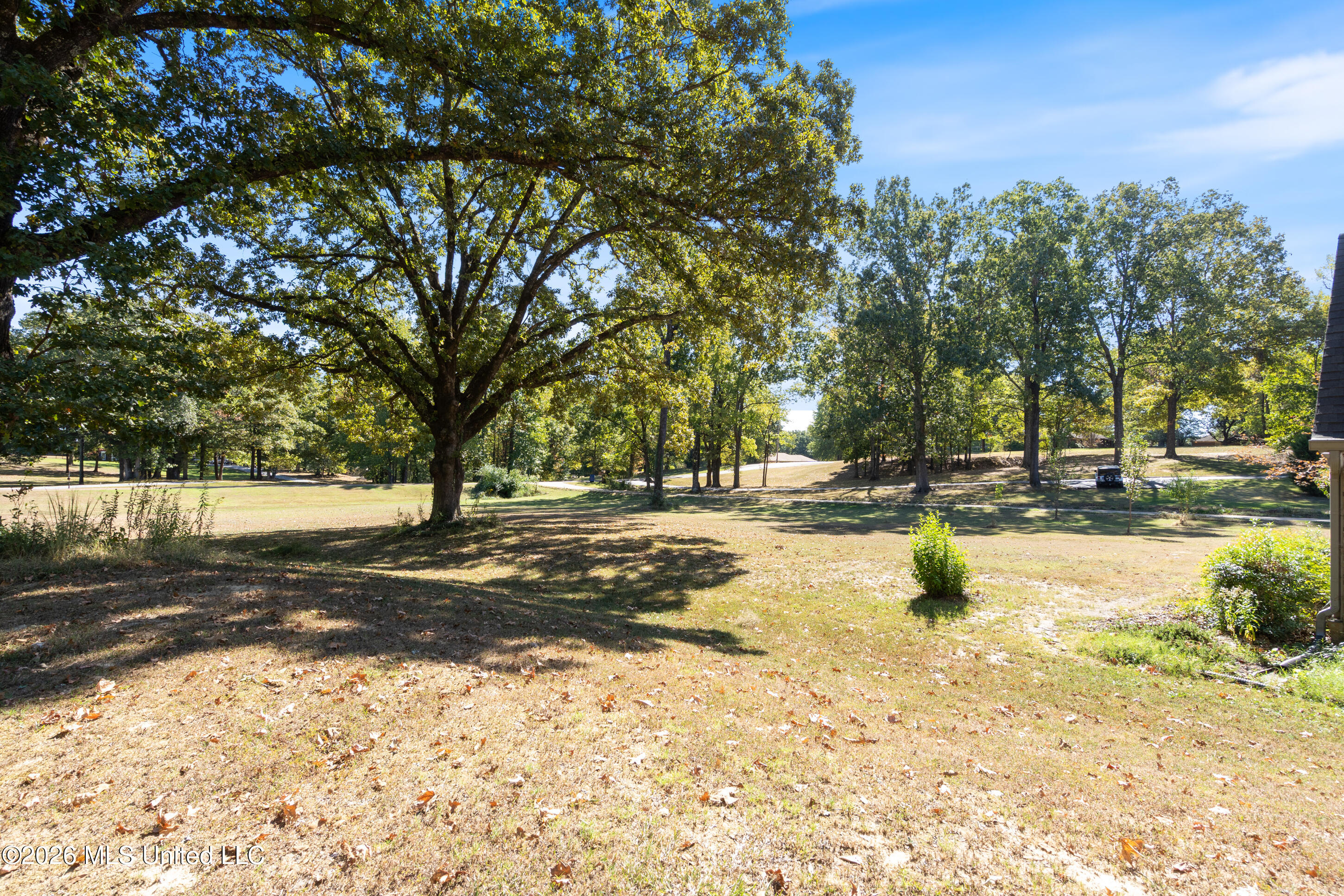1571 Single Tree Drive, Hernando, MS 38632 — photo 3