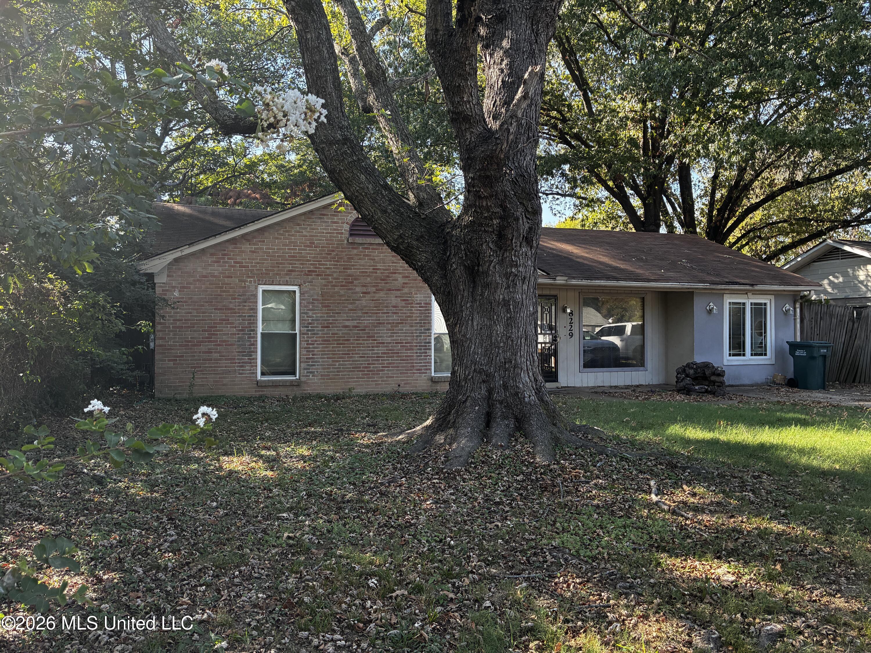 8229 Pinebrook Drive — photo